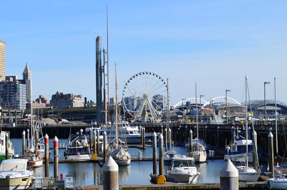 white ferris wheel near body of water during daytime