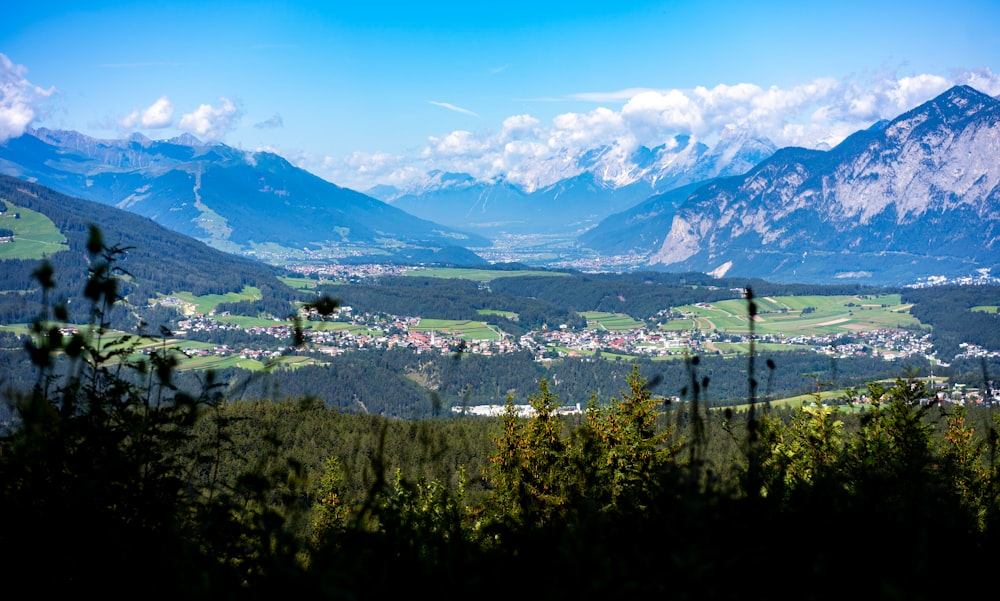 alberi verdi e montagne sotto il cielo blu durante il giorno