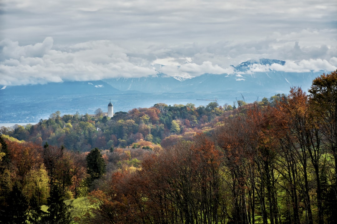 Hill station photo spot Arboretum du Vallon de l'Aubonne Cully