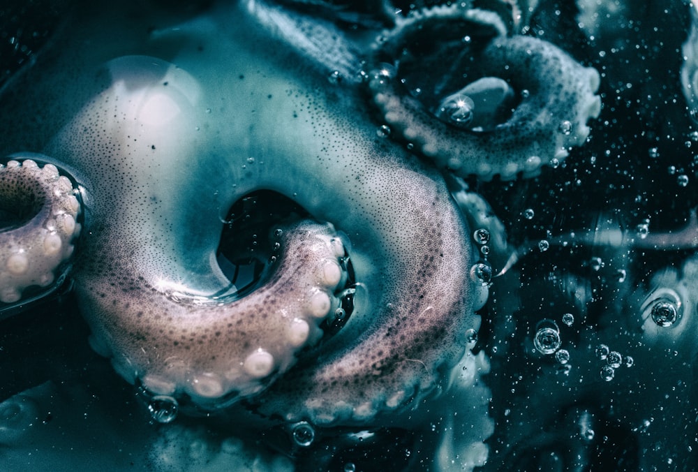 gotas de agua sobre el agua azul