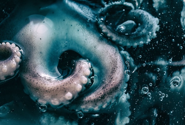 Water drops on blue water