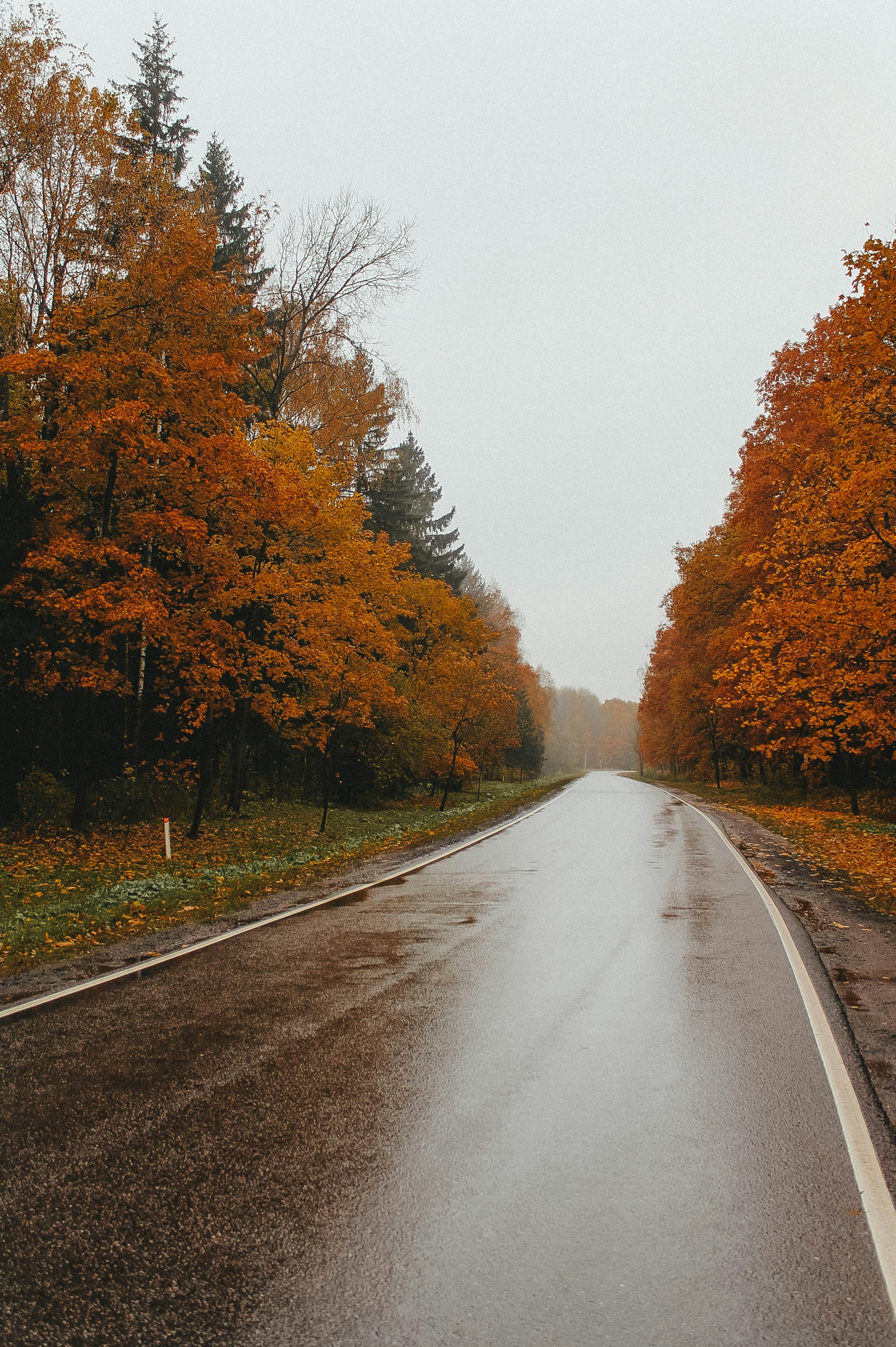 Photo by nastasiakalinina