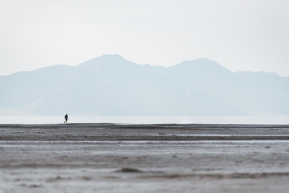 person walking on beach during daytime