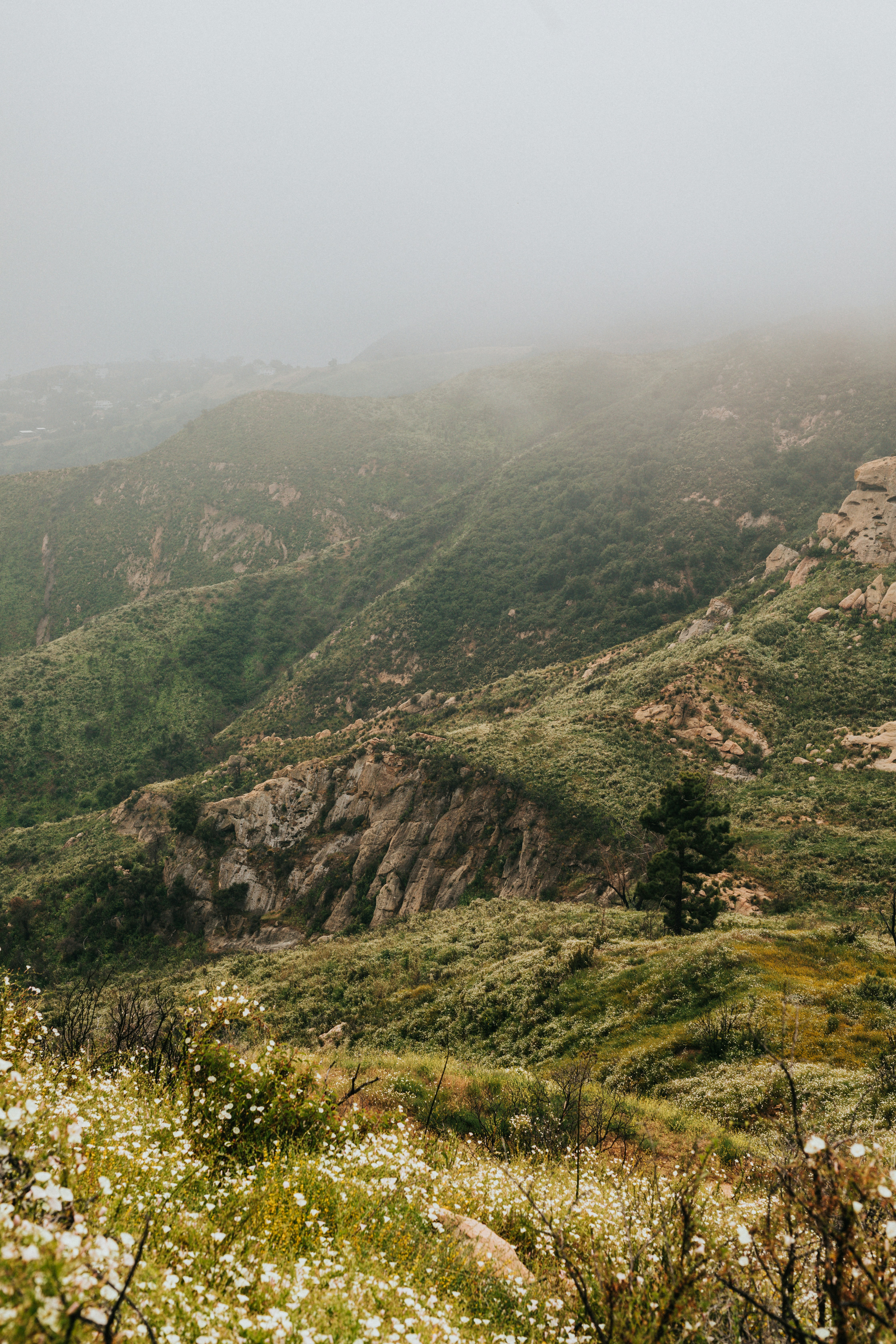 Photo by nate_dumlao