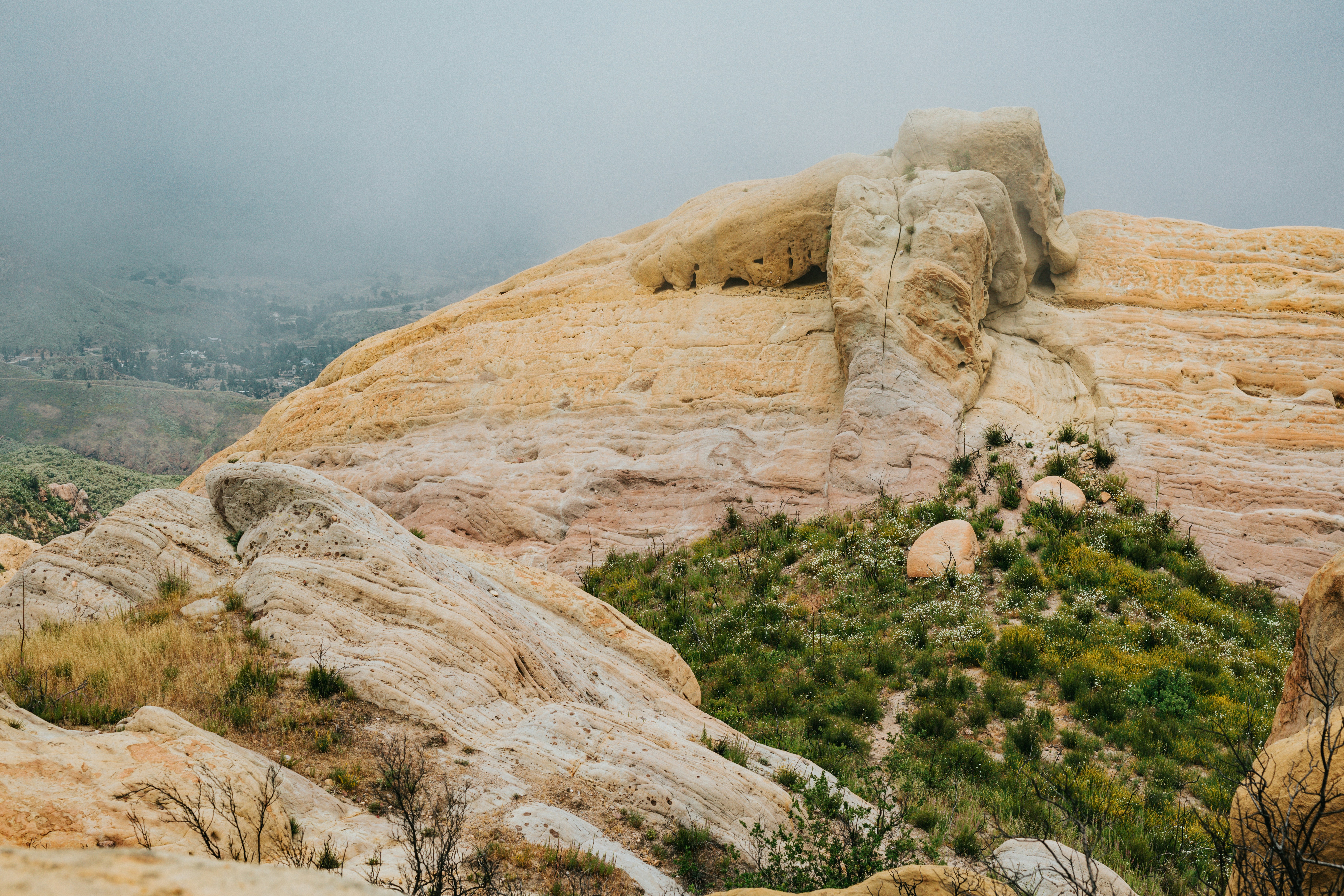 Photo by nate_dumlao