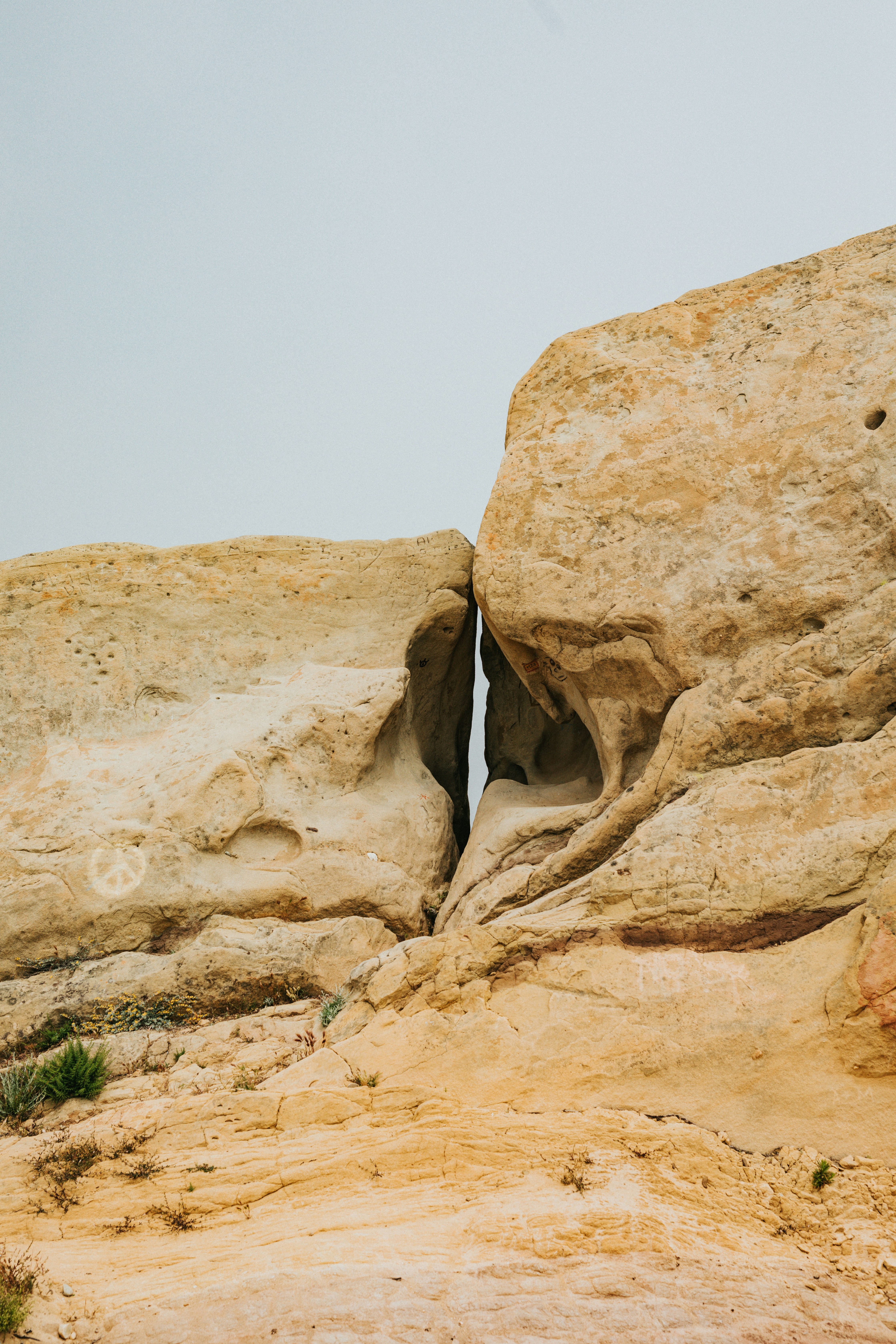 Photo by nate_dumlao