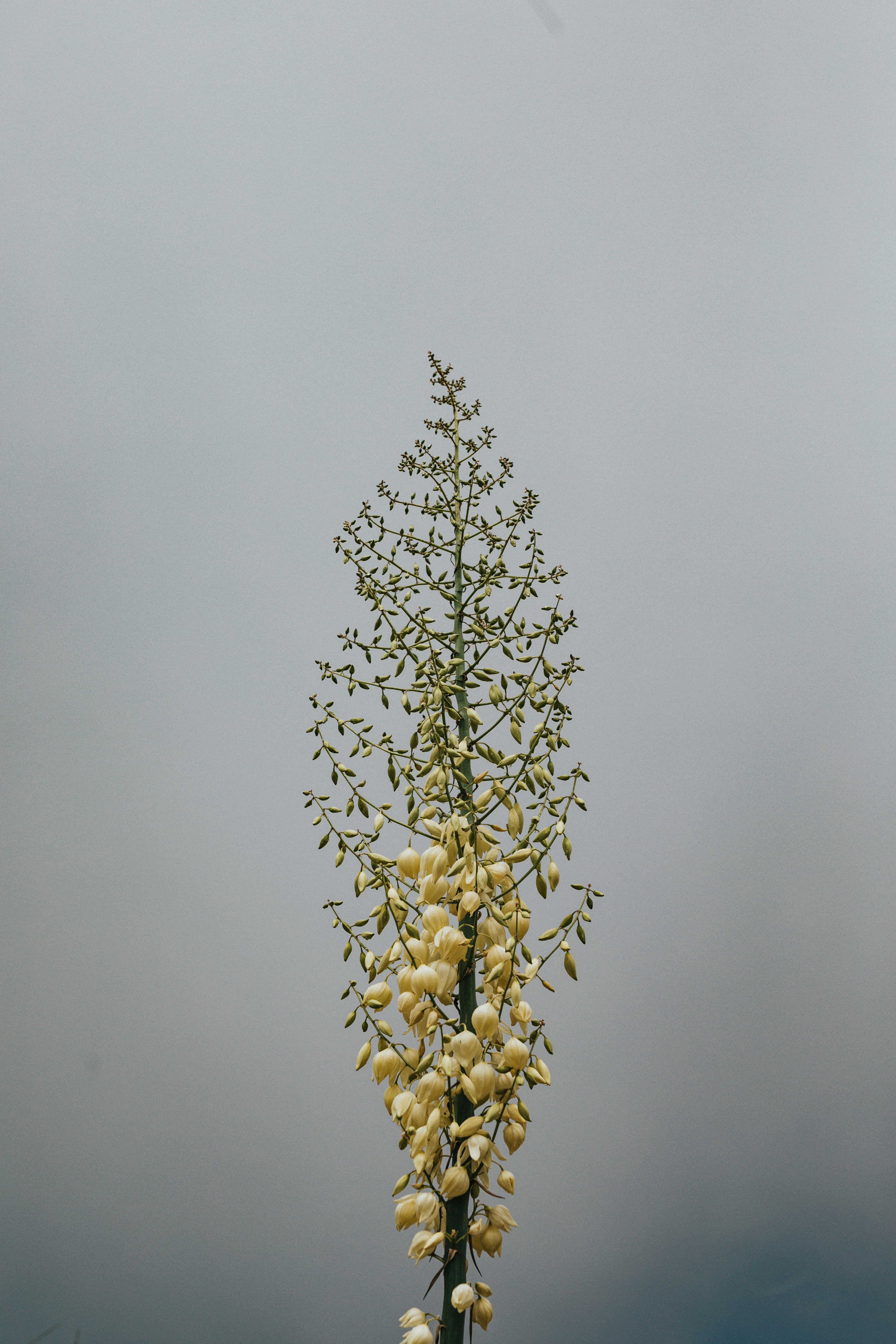 Photo by nate_dumlao