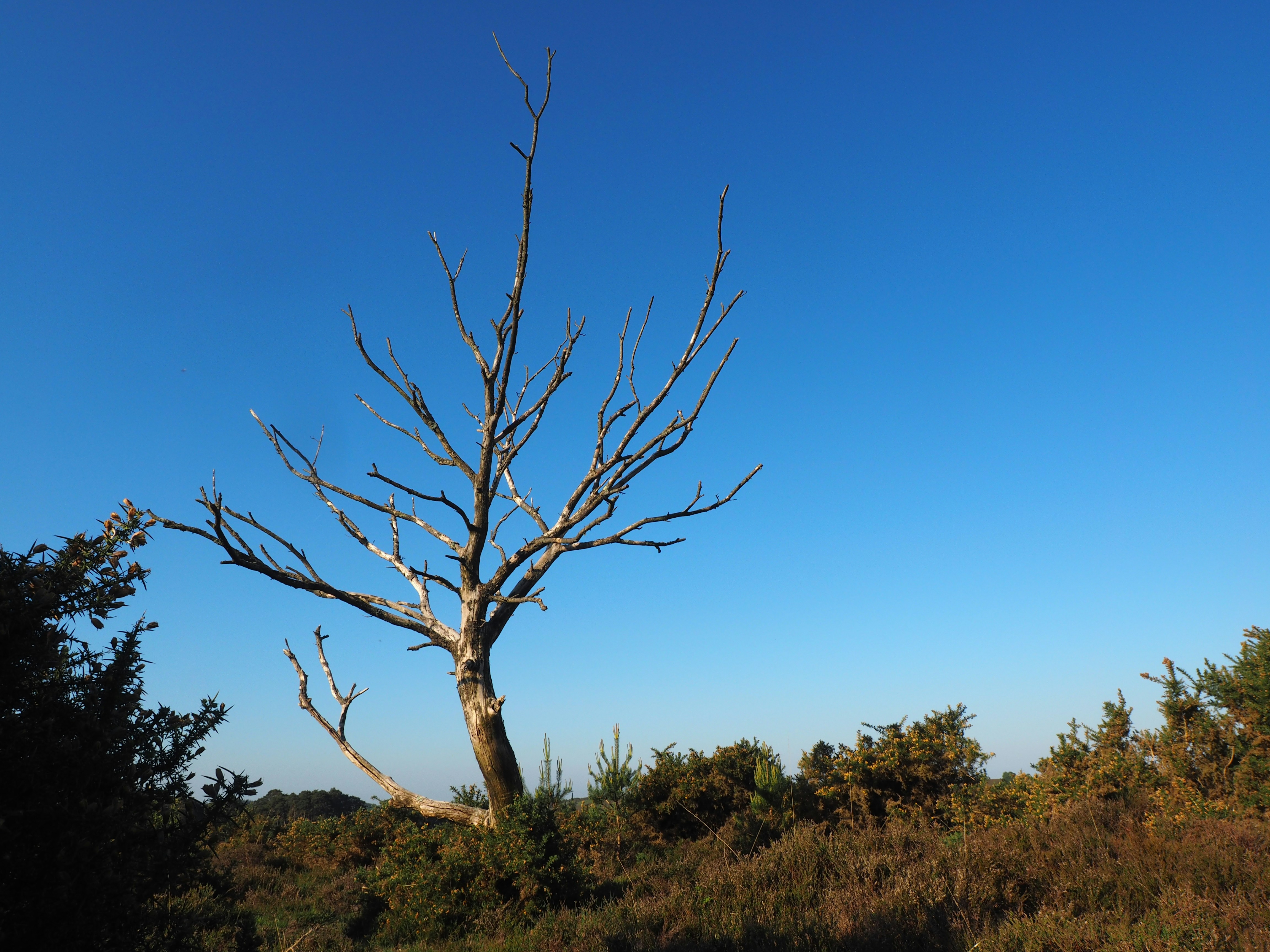 Photo by boarderbloke