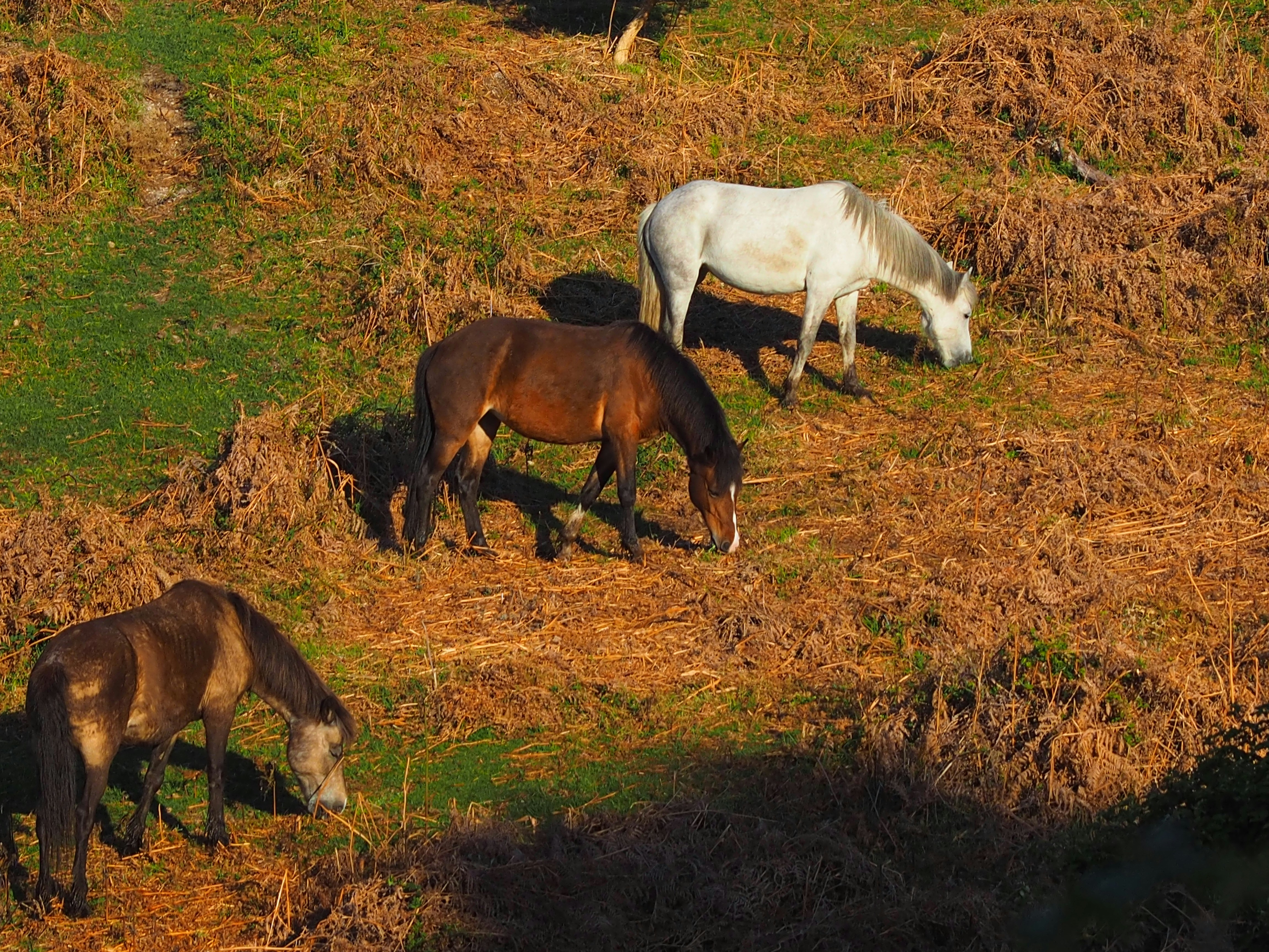 Photo by boarderbloke