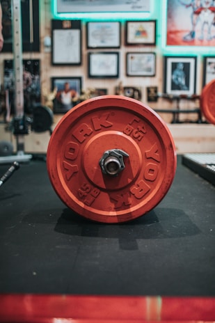 A close-up of a red York weight plate on a barbell, positioned in a gym setting. The background features framed pictures and certificates on the wall, highlighted by a neon light.