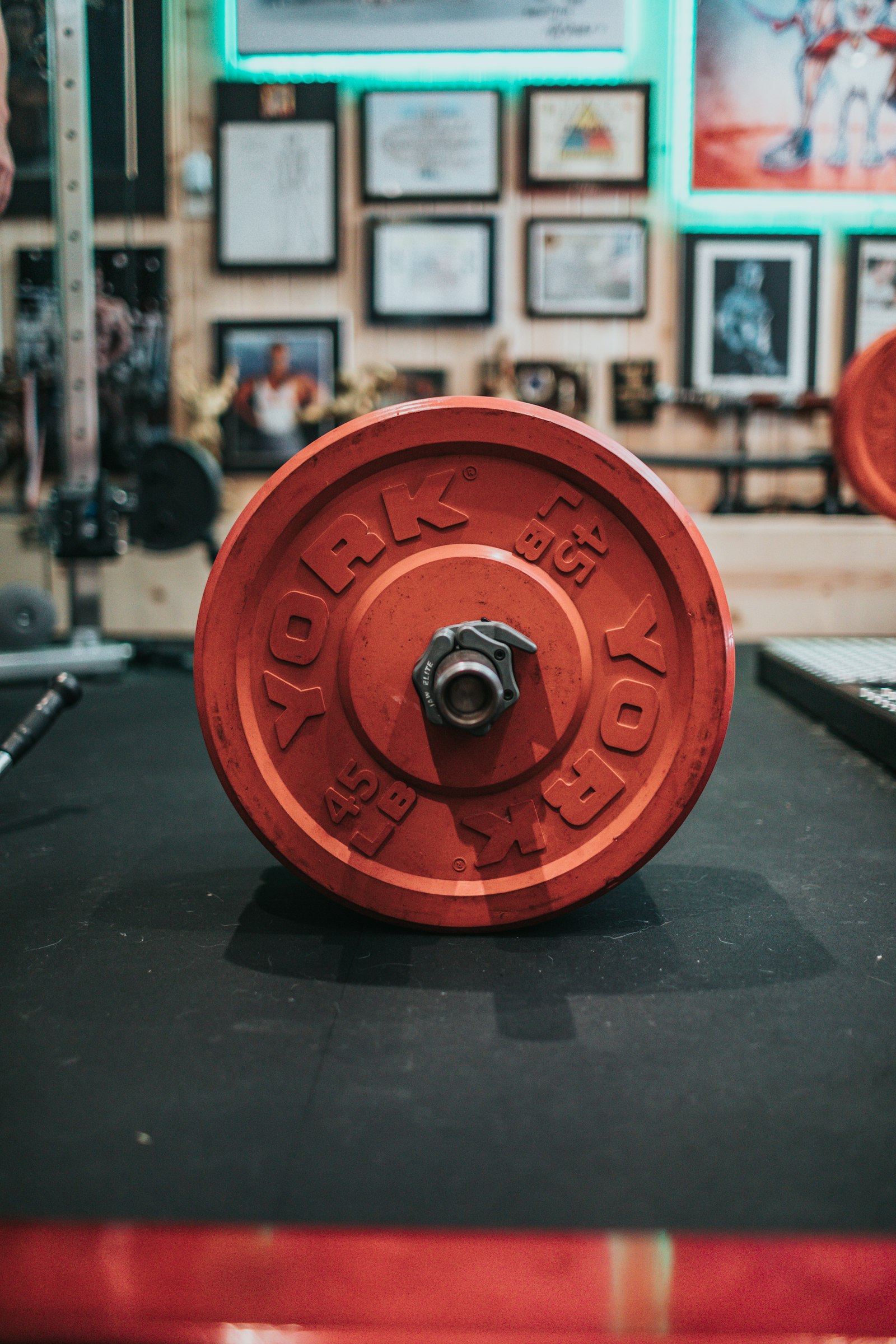 Canon EOS 5D Mark IV + Canon EF 35mm F1.4L USM sample photo. Red round dumbbell on photography