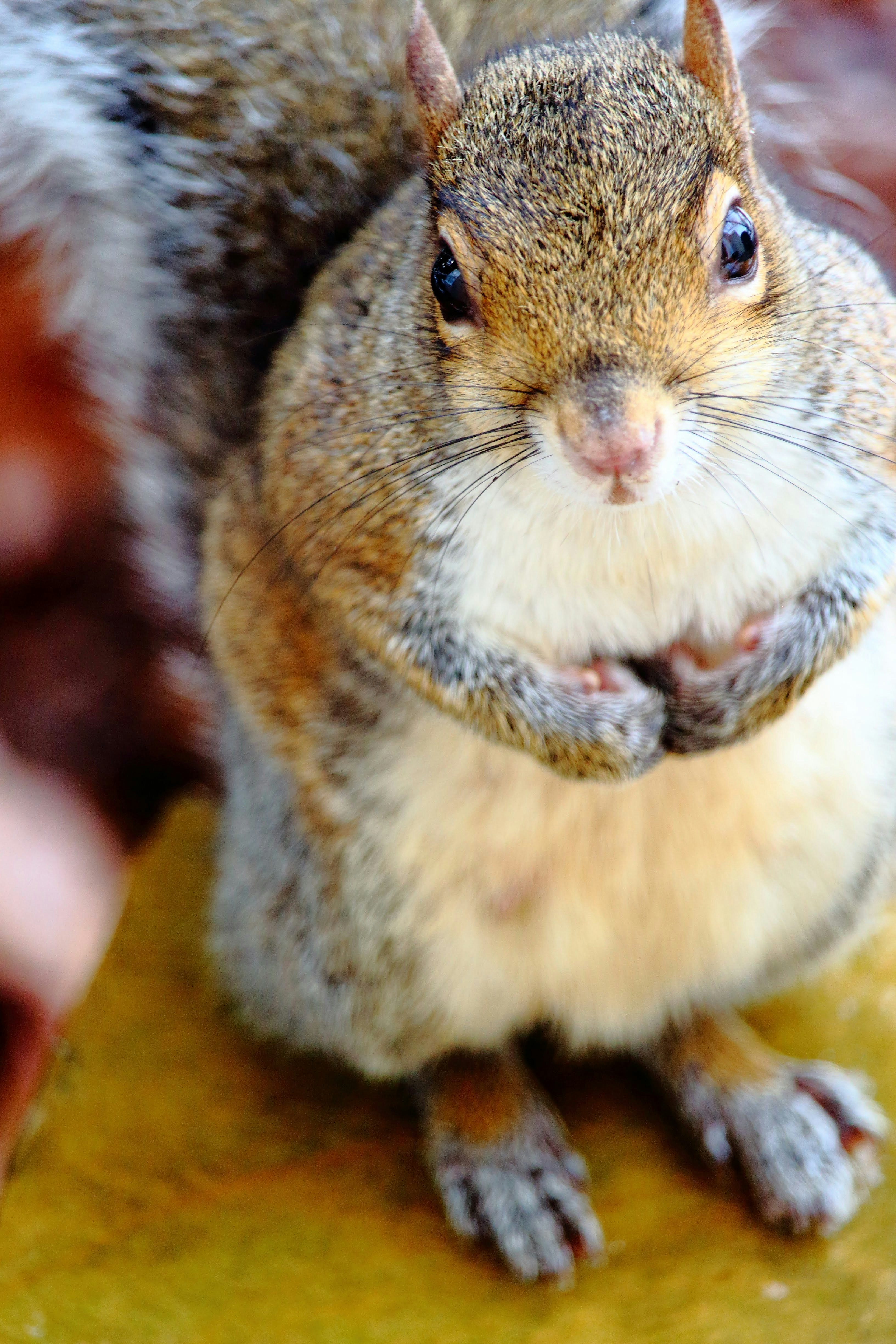 Photo by rendermouse