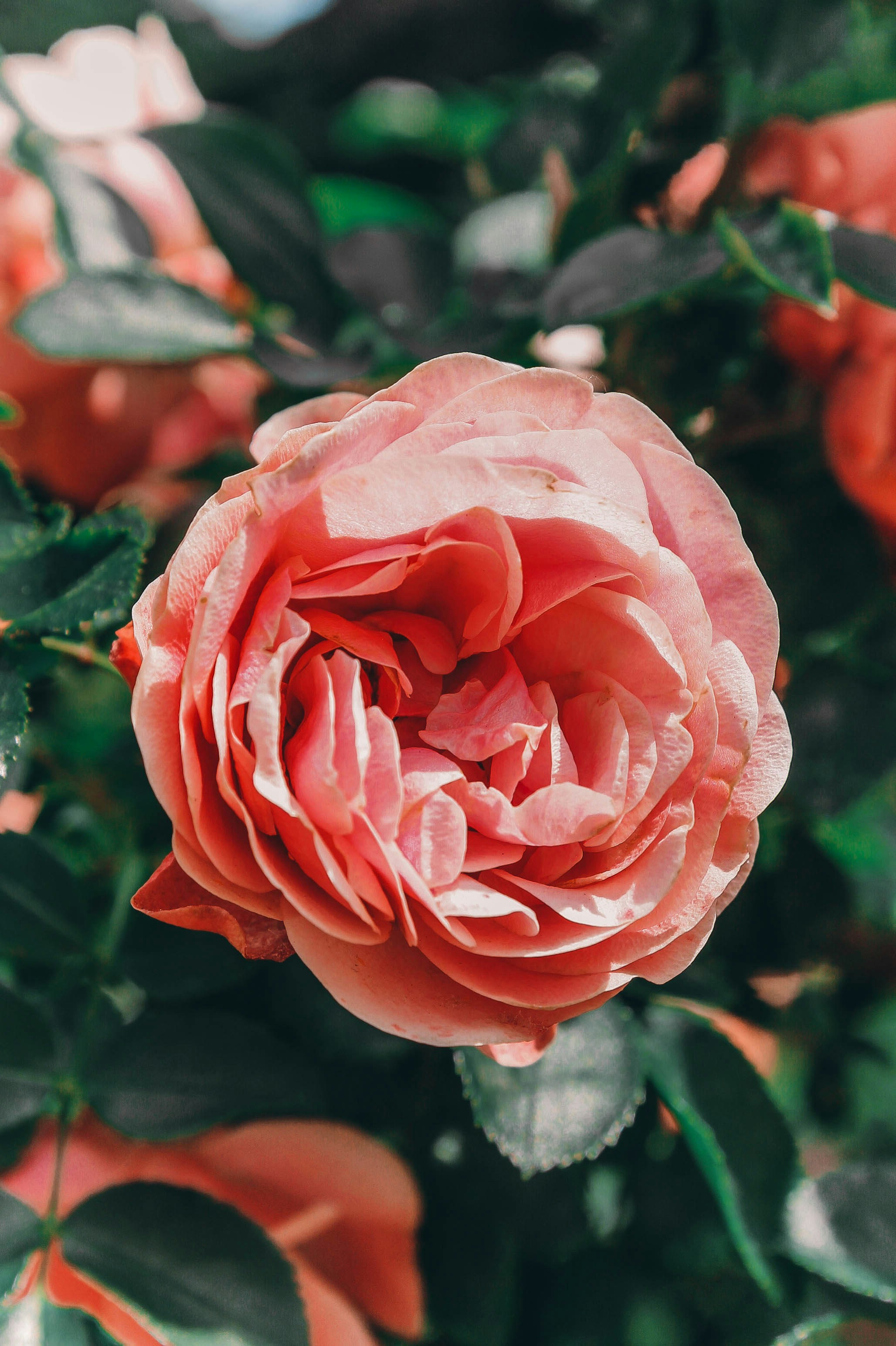 Photo by nastasiakalinina