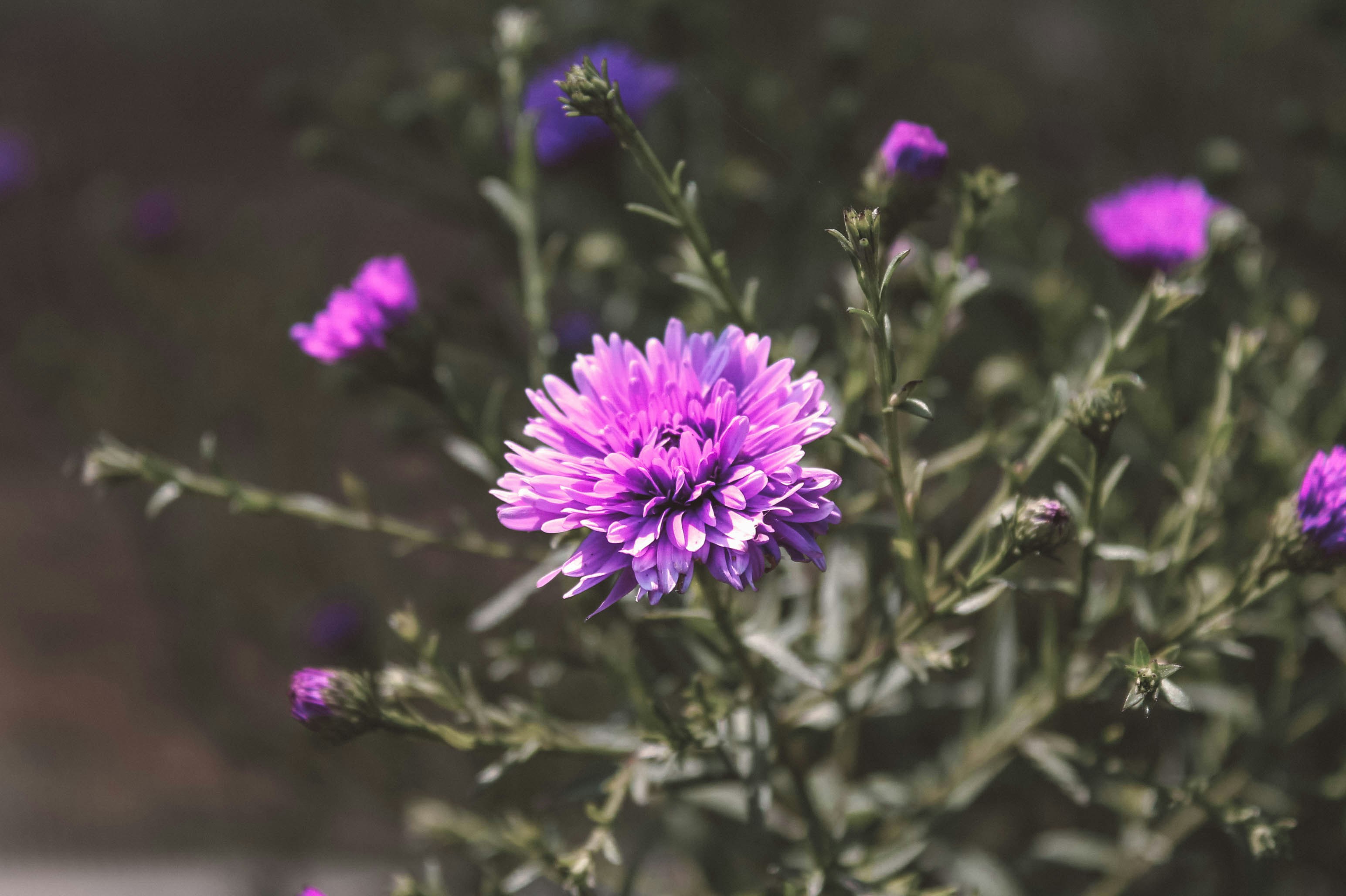 Photo by nastasiakalinina