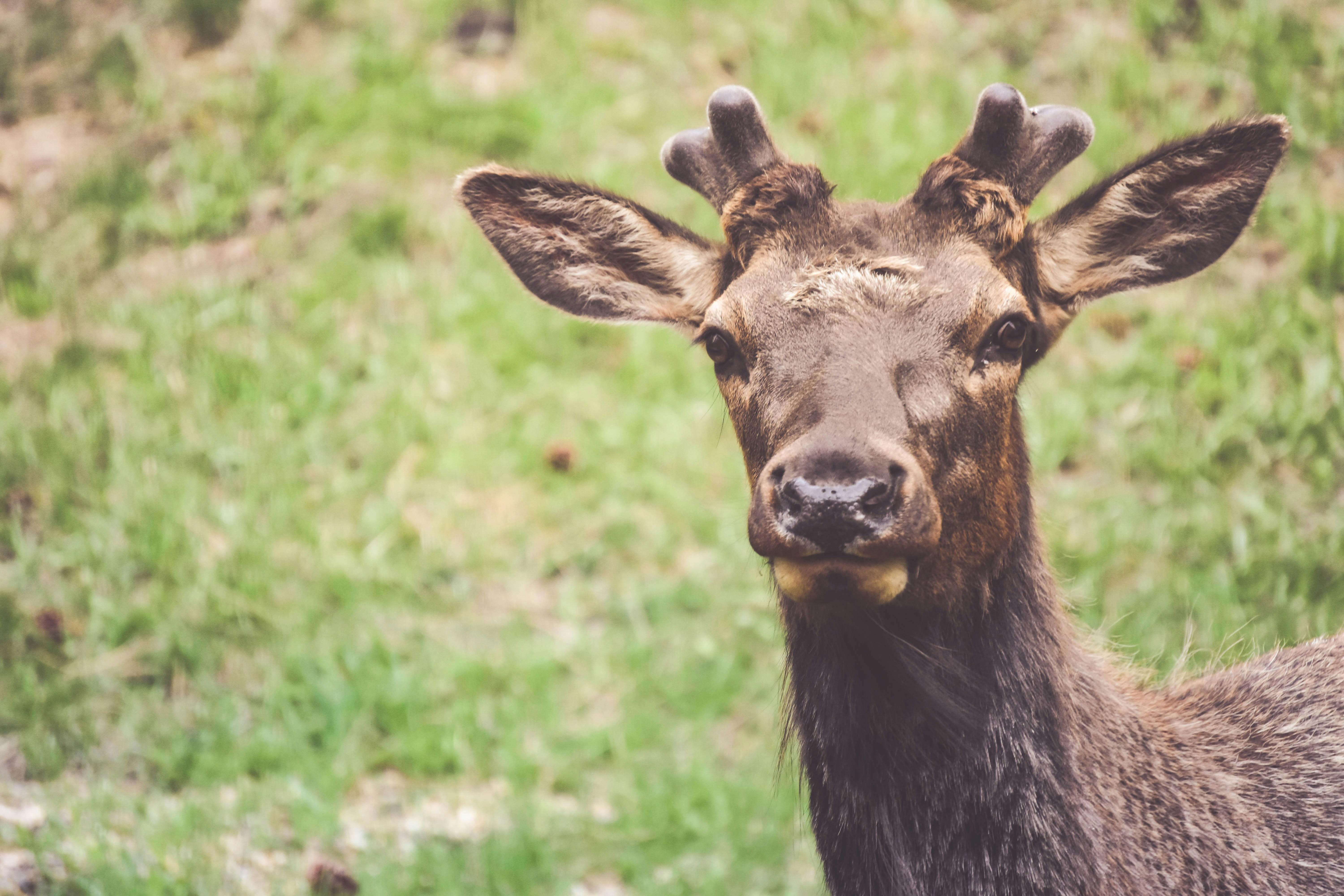 Photo by corrynewooten