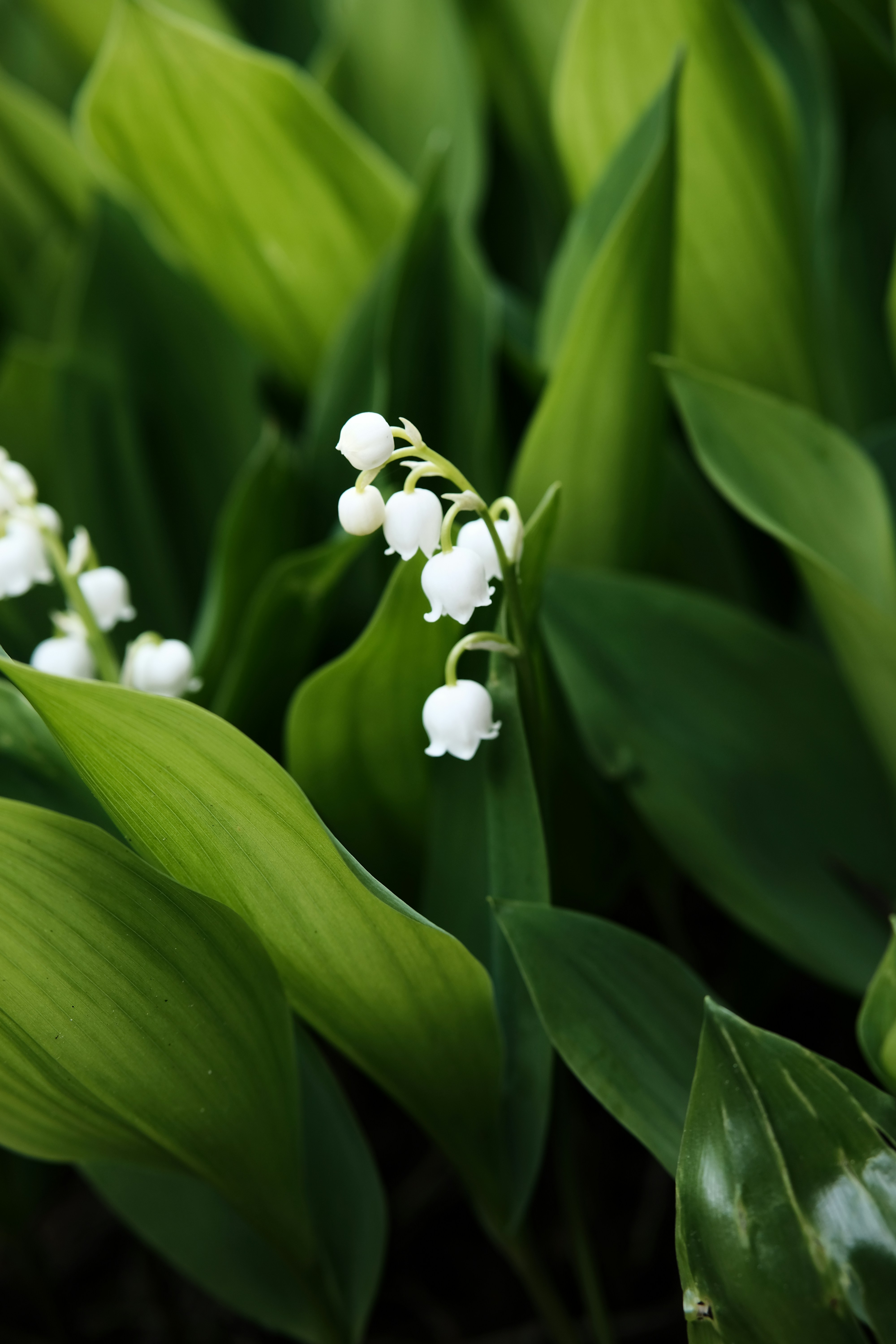 Photo by nothingaholic