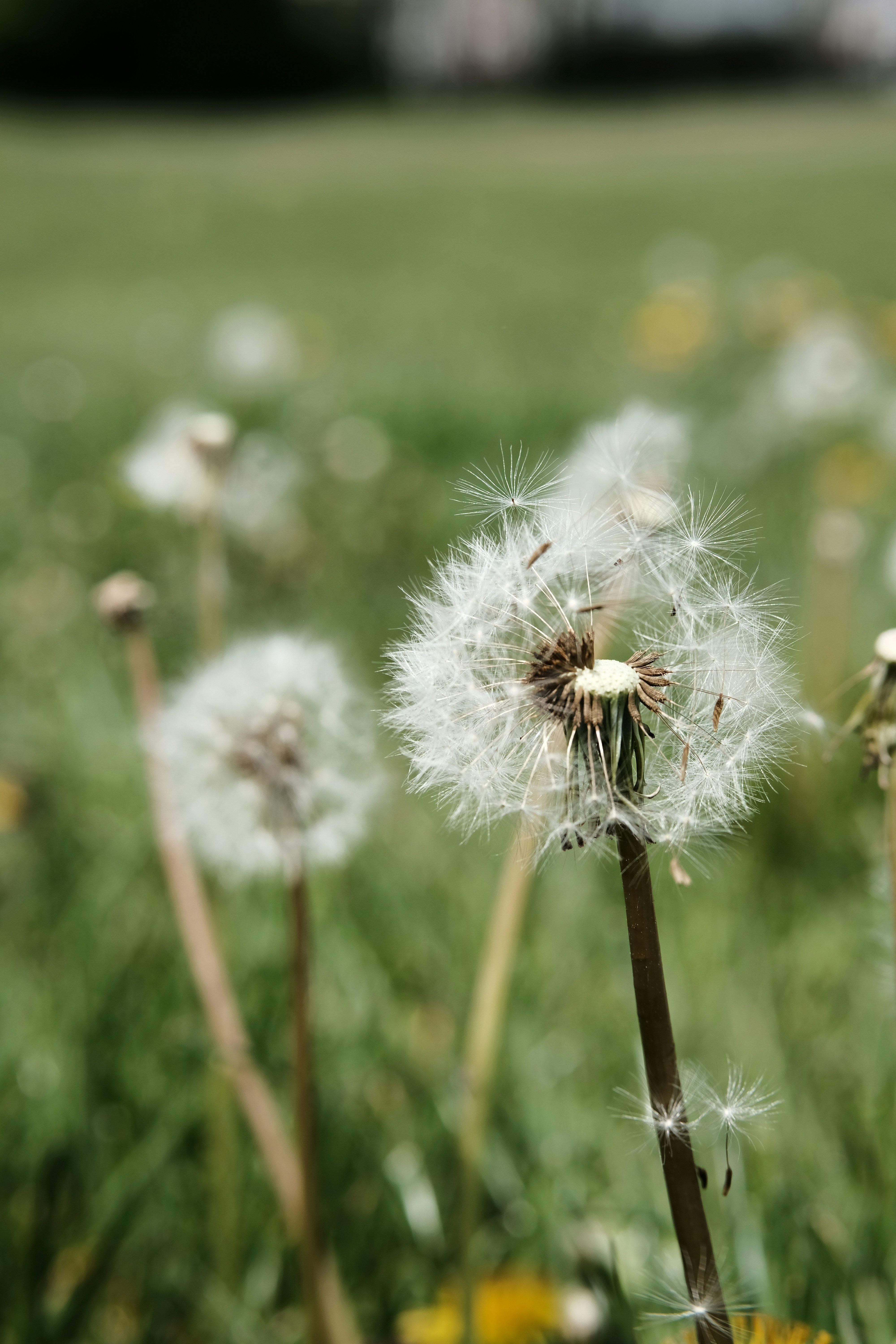 Photo by nothingaholic