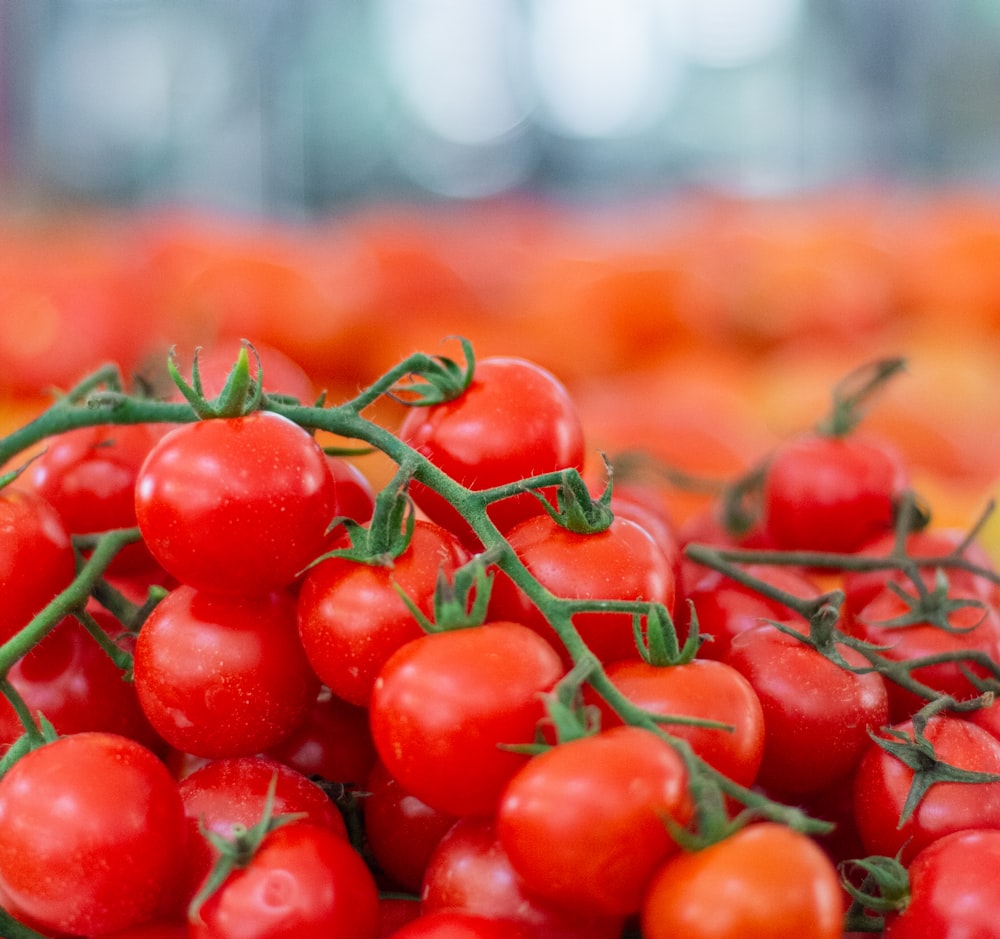 red cherries in tilt shift lens