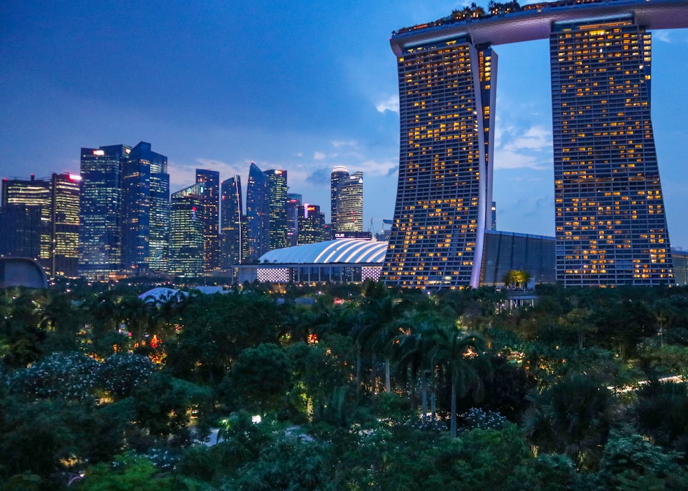 green trees near city buildings during night time