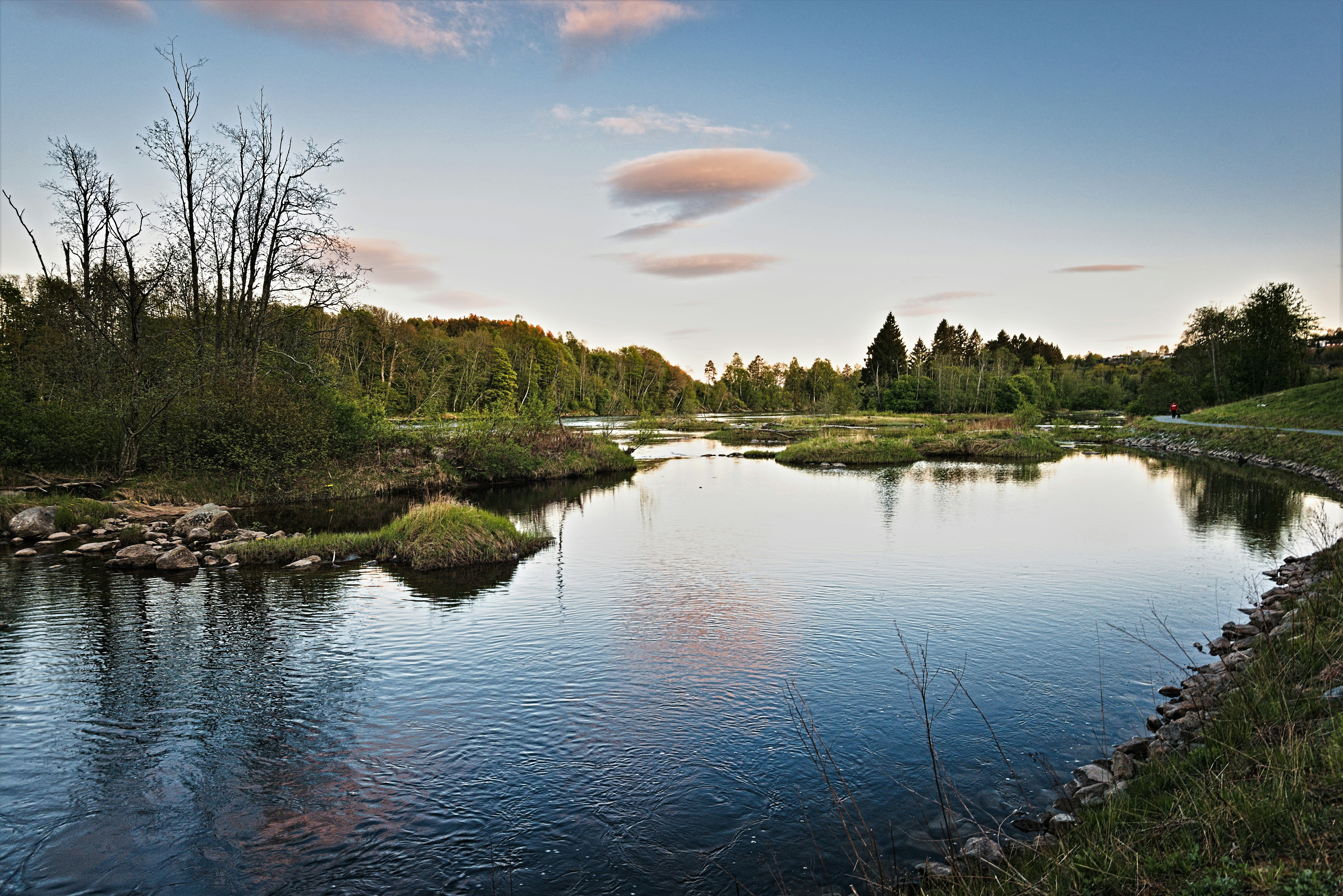 Photo by dariuszpi