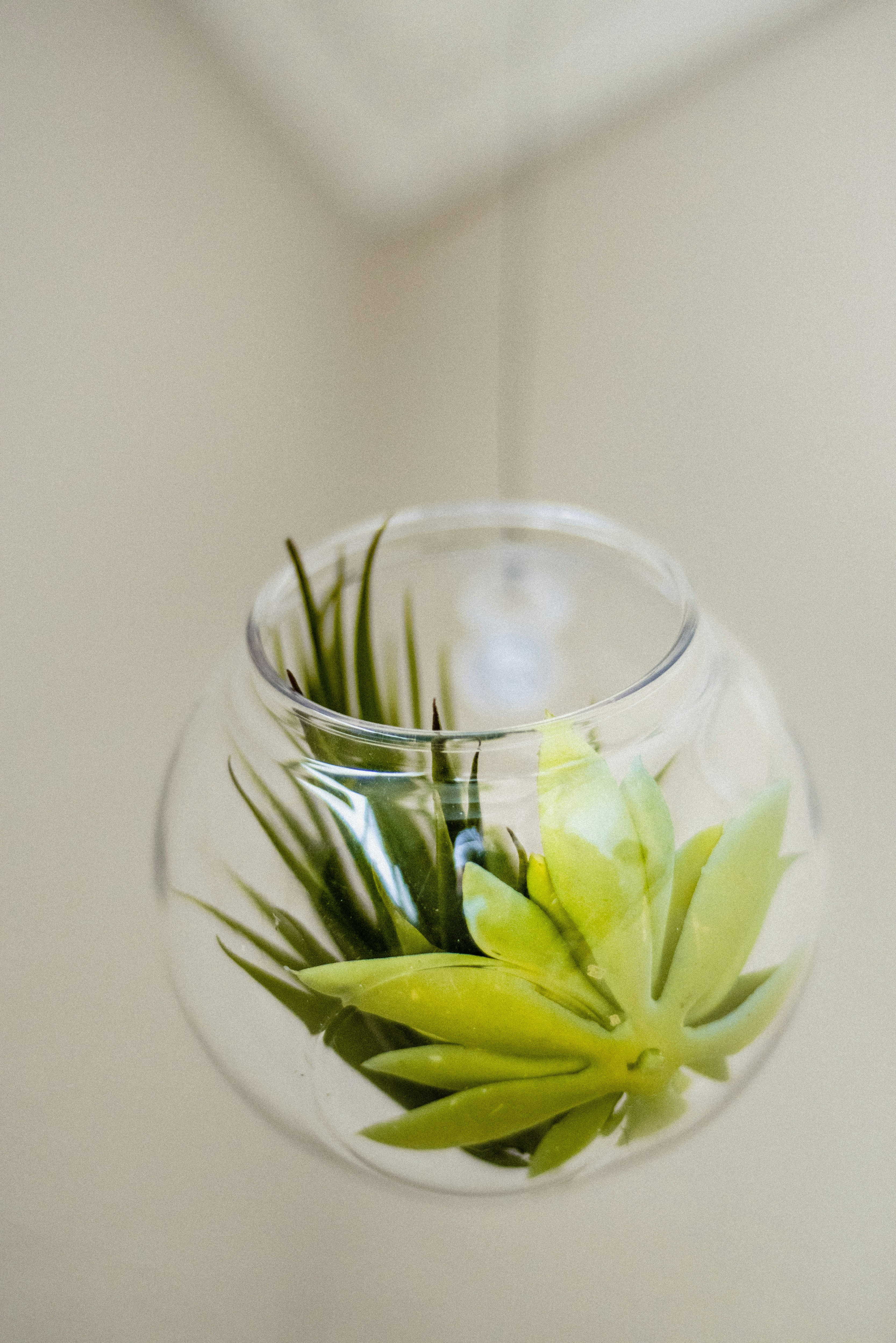 Photo by jphotomedia