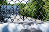 A chain-link fence with a blurry view of a highway and green trees in the background. The metal fence is prominently in focus, while the road and natural scenery beyond appear out of focus.