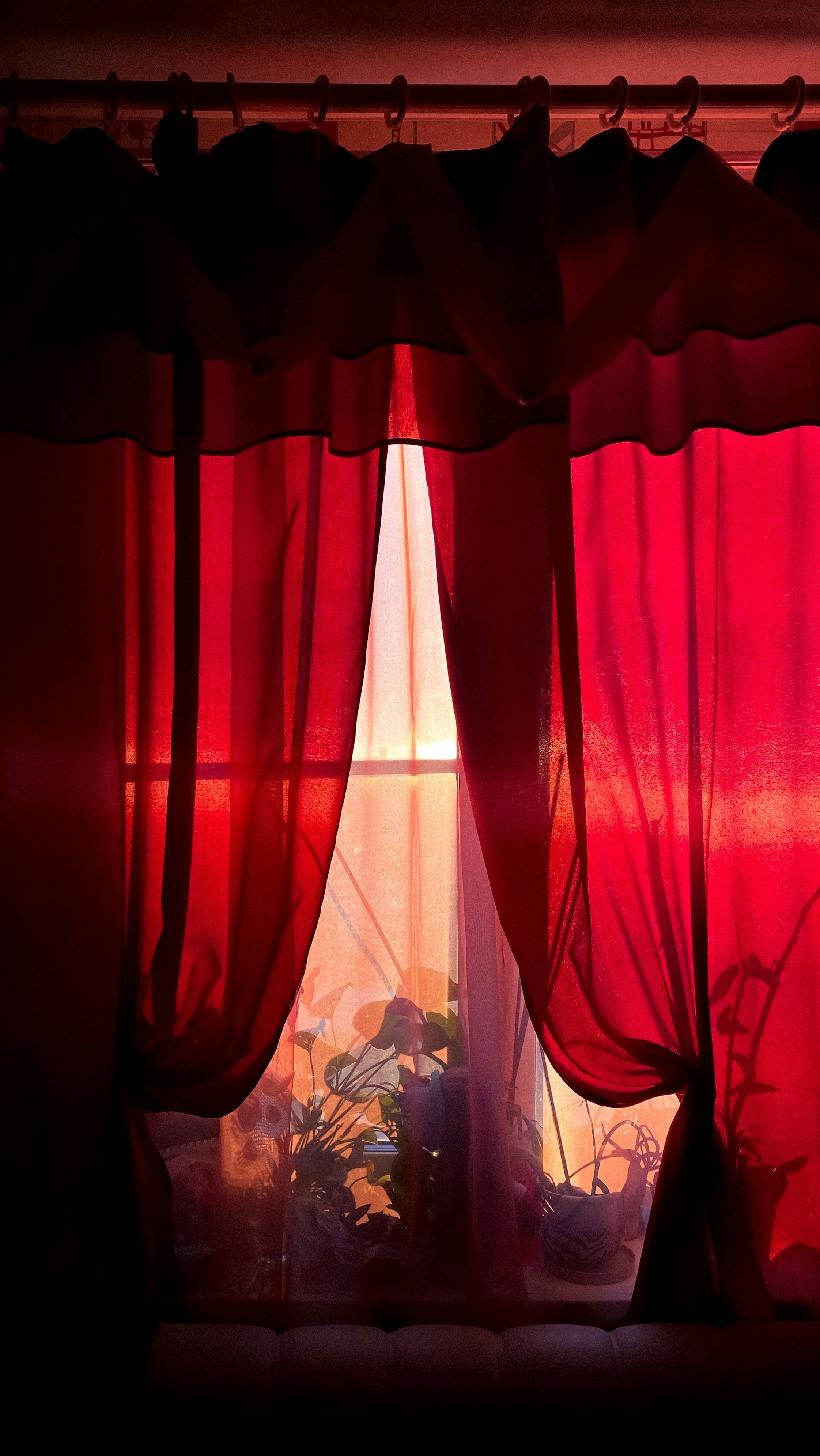 Photo by natahdr