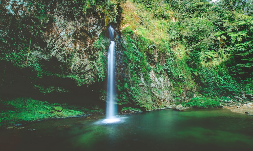 waterfalls in the middle of the forest