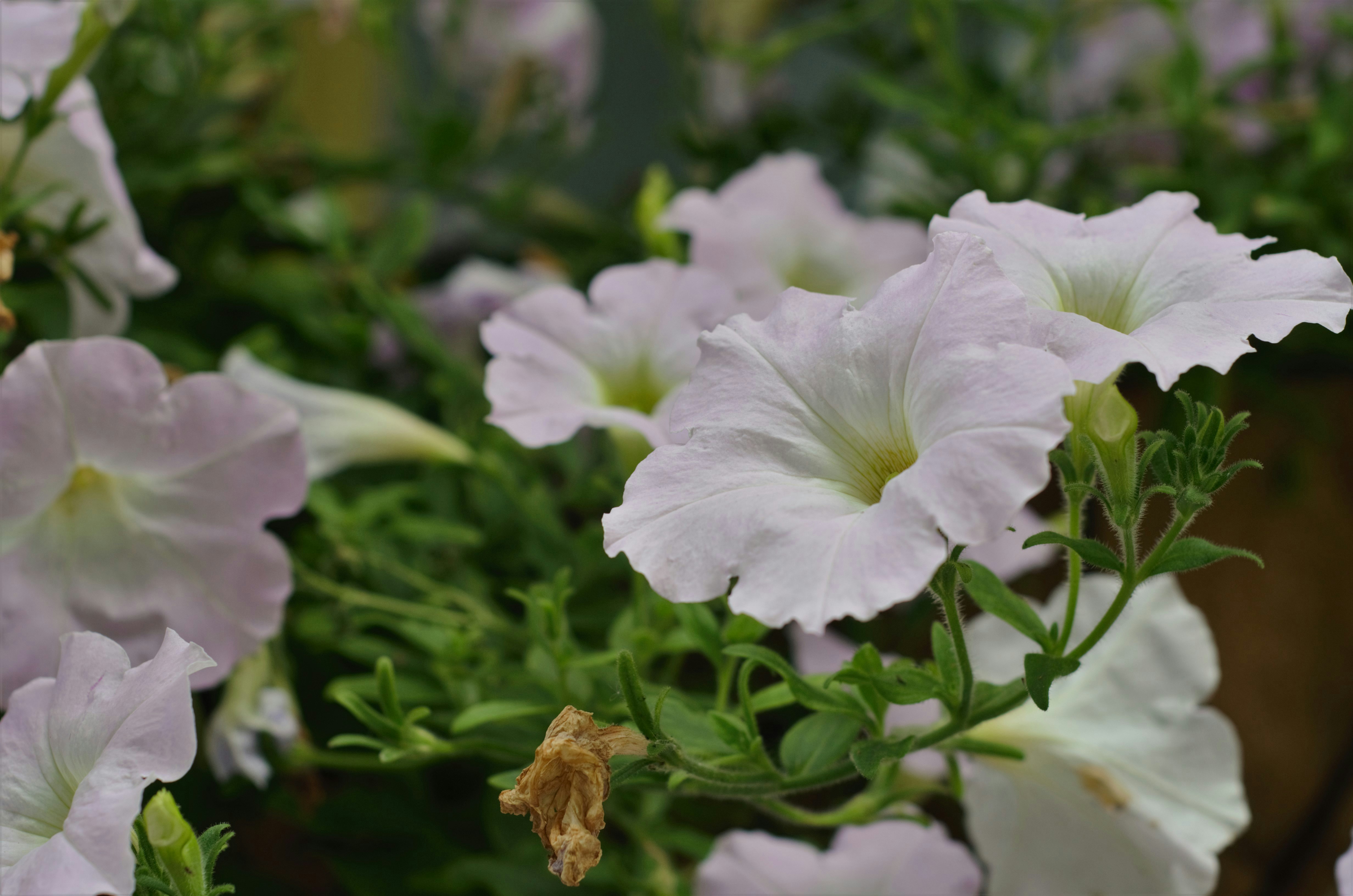 Photo by rayoflightphotography