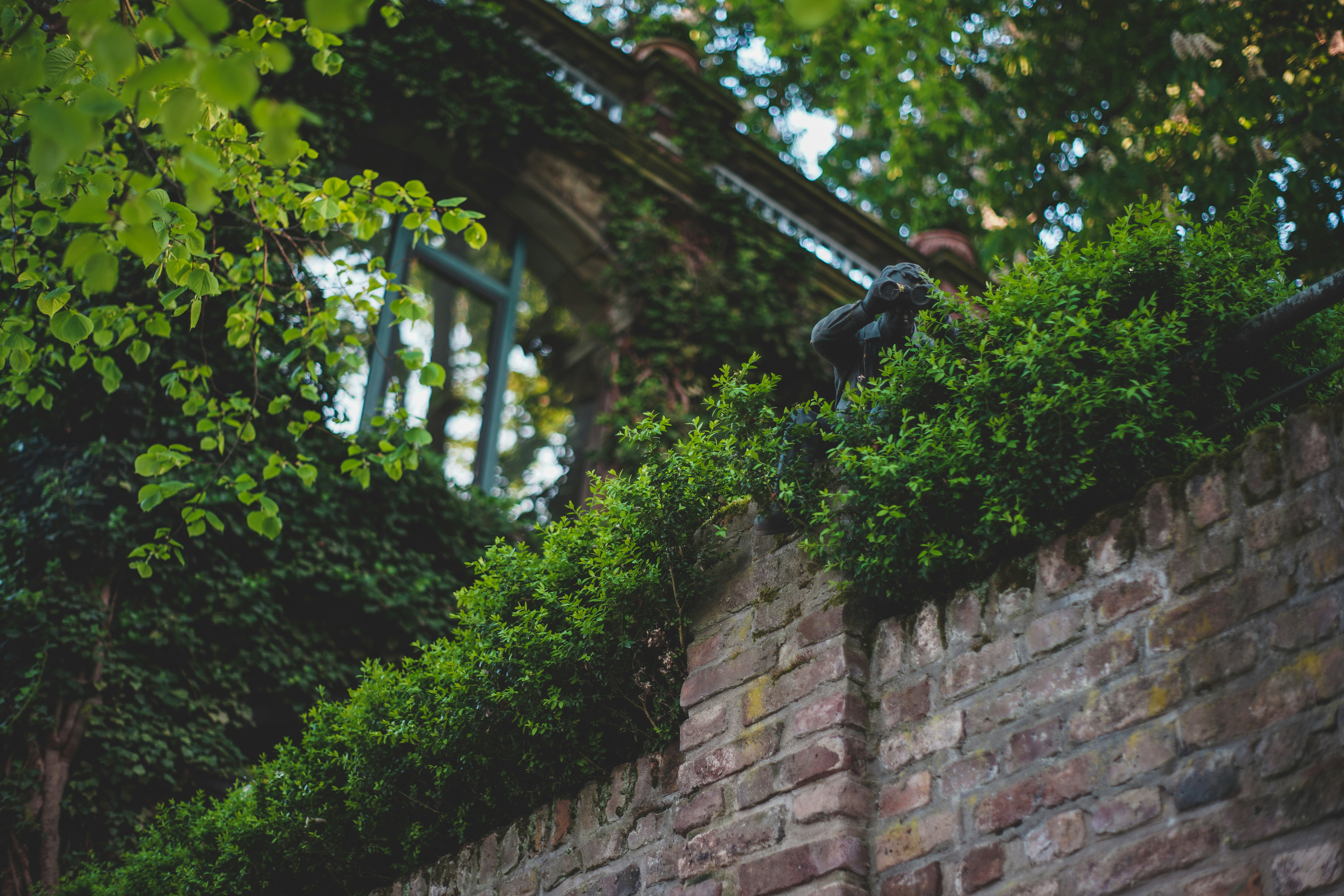 Photo by timaesthetic