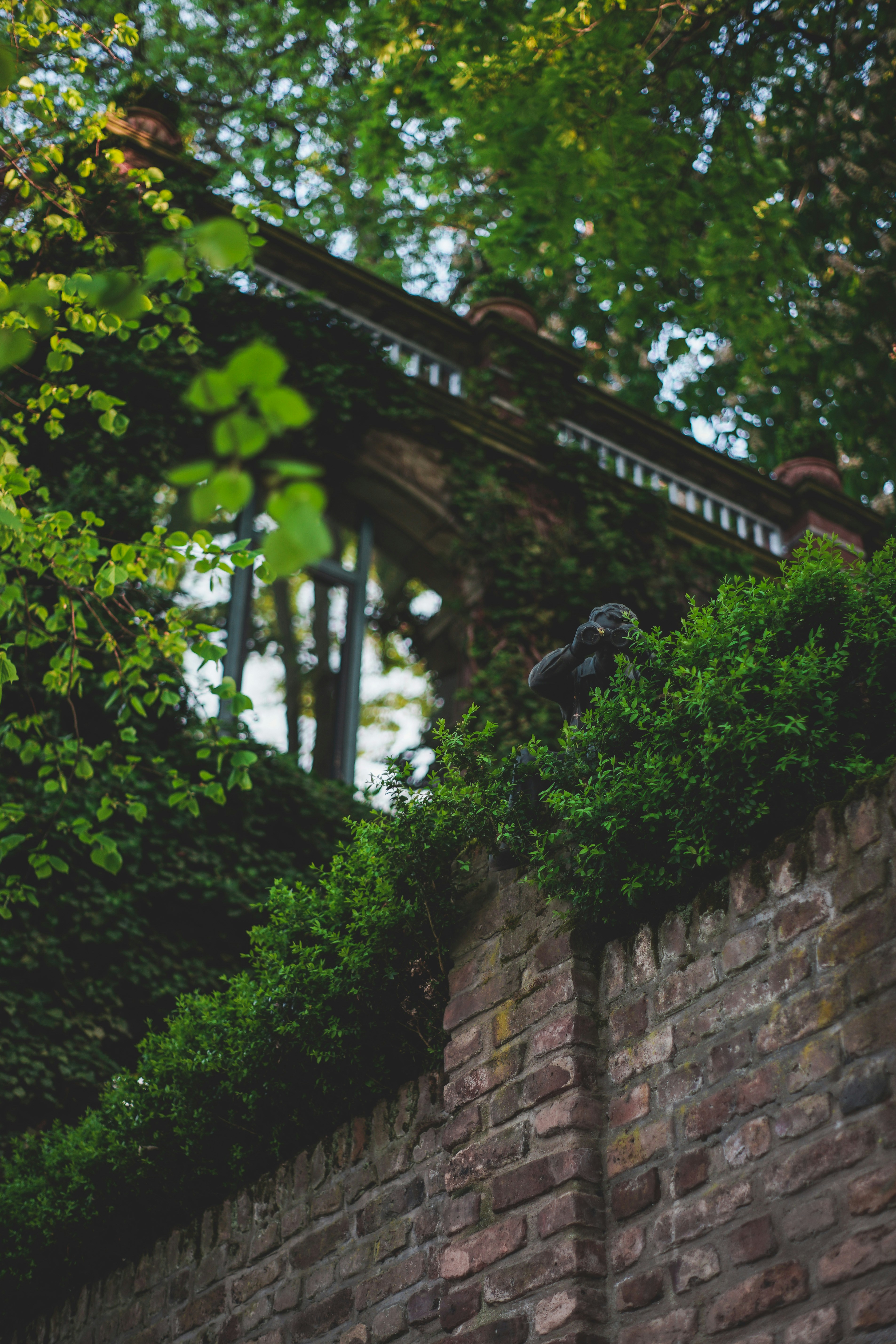 Photo by timaesthetic