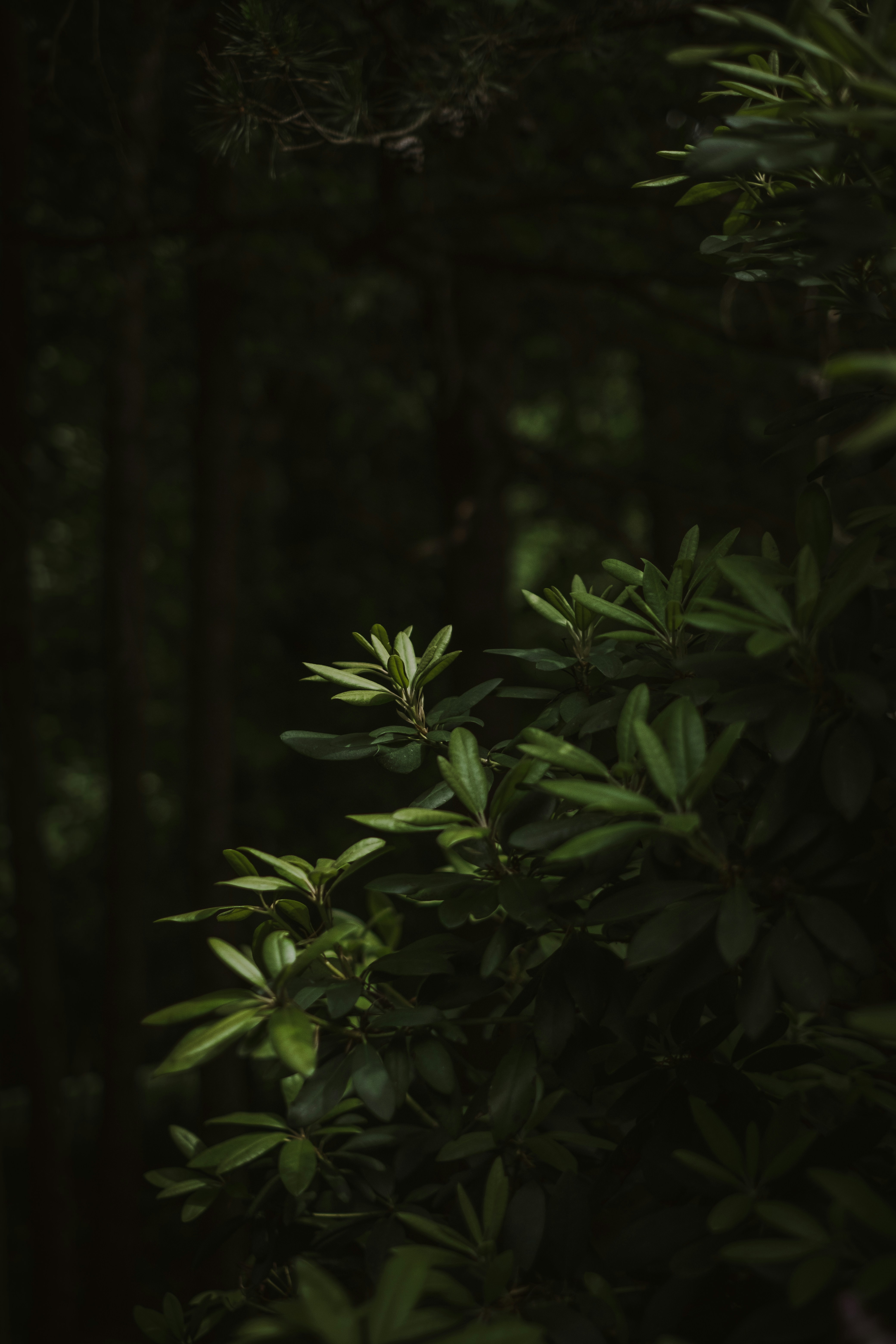 Photo by virginiasimi