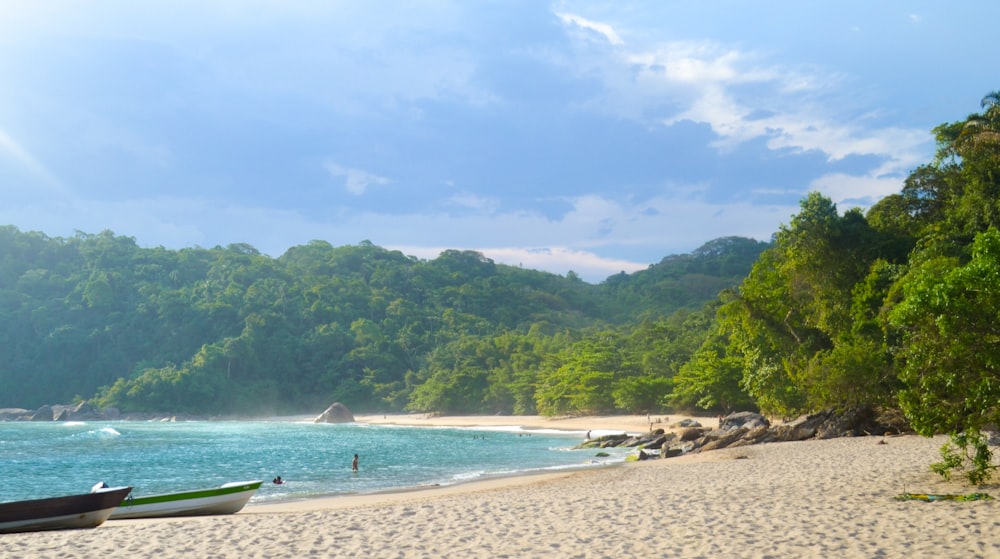 people on beach during daytime