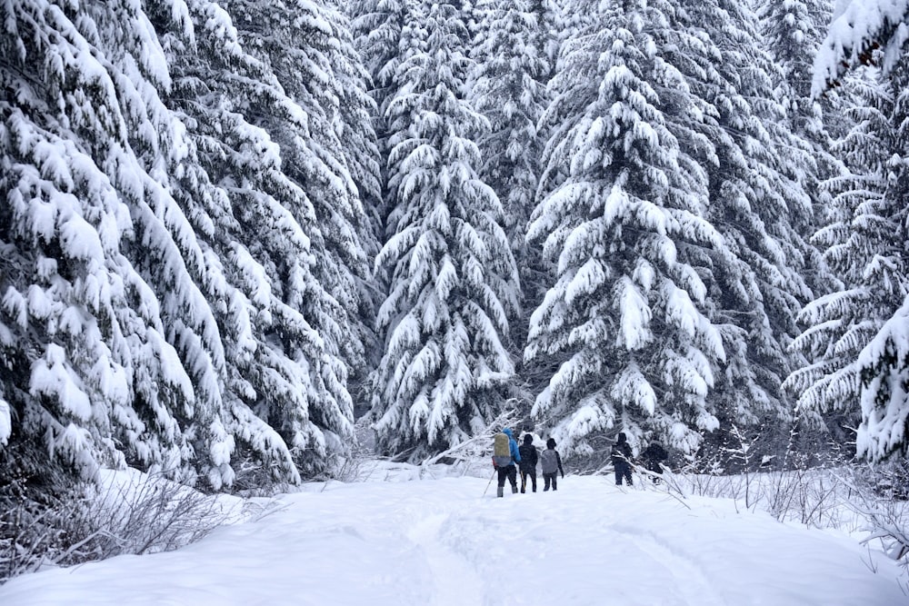 personas que caminan sobre un campo cubierto de nieve durante el día