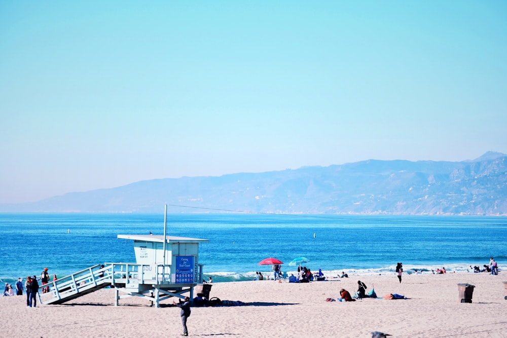 people on beach during daytime