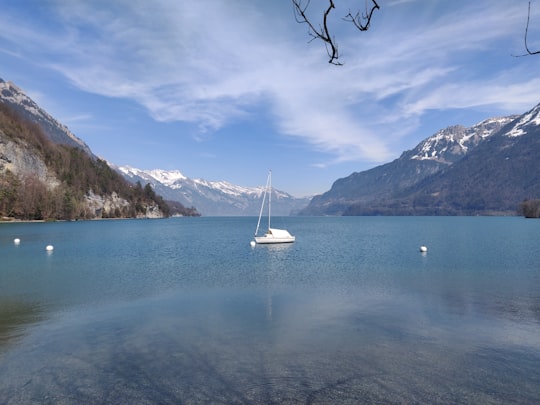 white sailboat on sea near mountain under blue sky during daytime in Lake Brienz Switzerland
