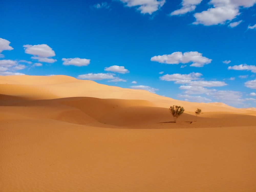 brown sand under blue sky during daytime