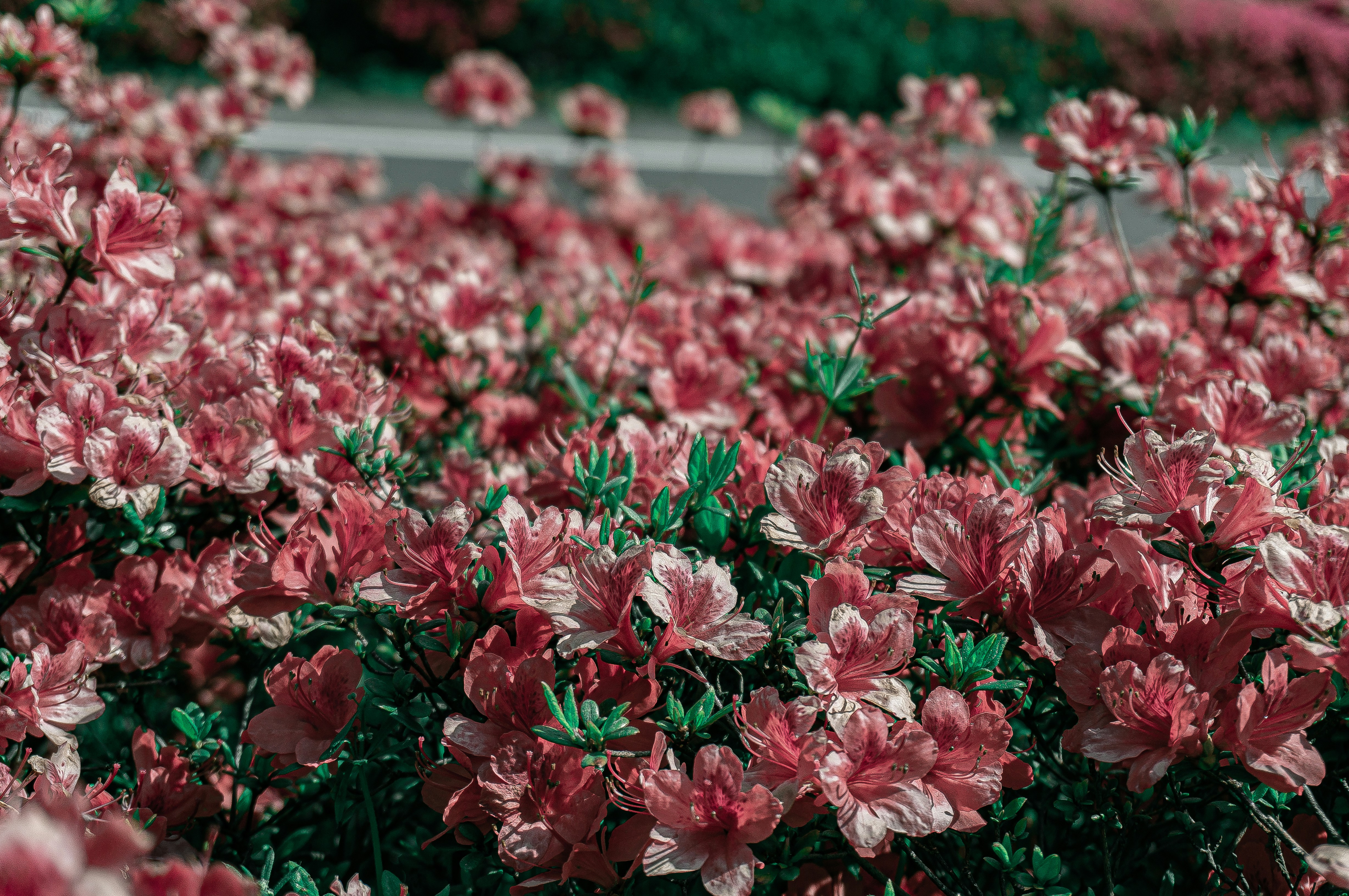 Photo by takenori1128