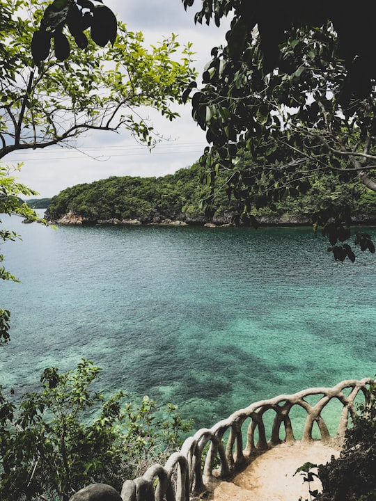 green trees beside body of water during daytime in Hundred Islands Philippines