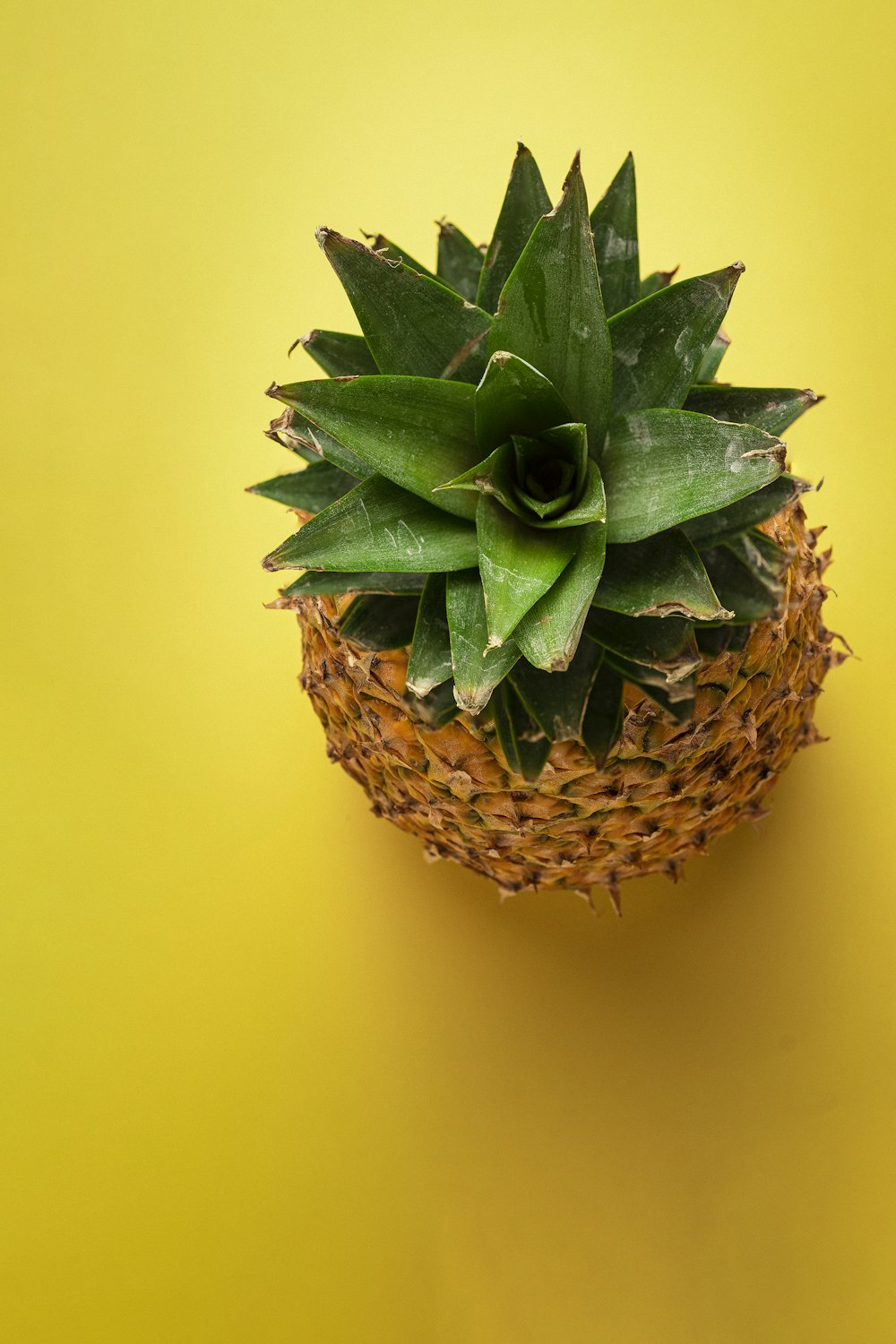 green and brown pineapple fruit