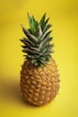 pineapple fruit with yellow background