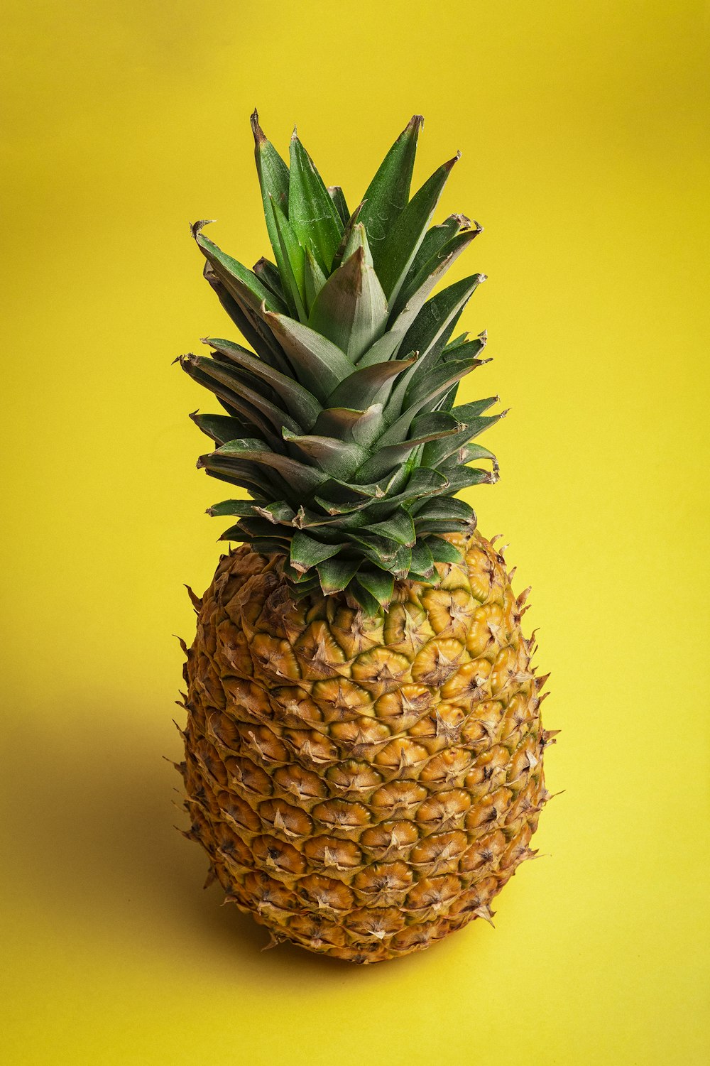 pineapple fruit with yellow background