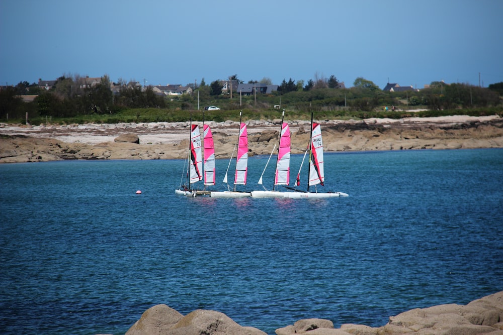 white and red sail boat on sea during daytime