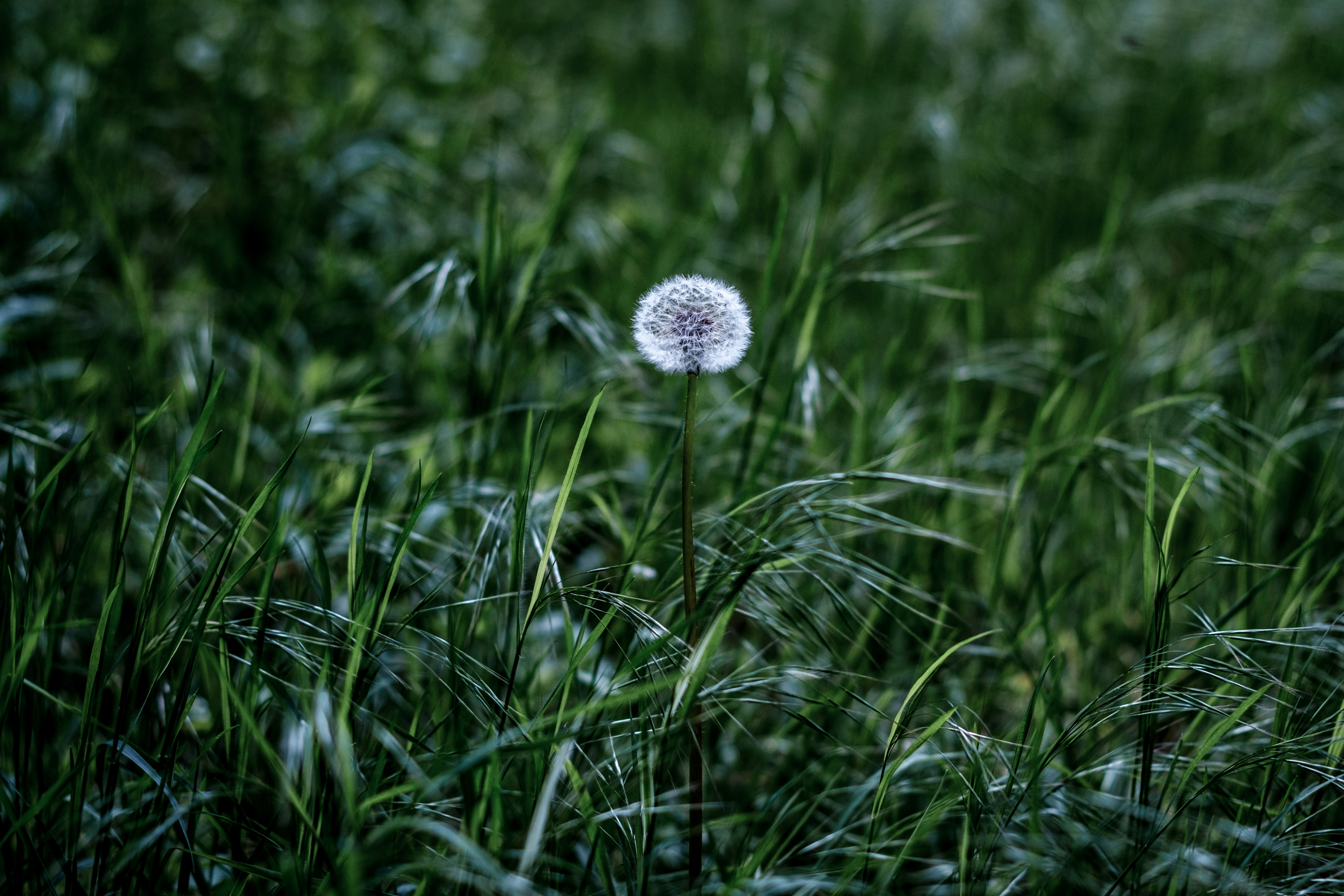 Photo by heyeje