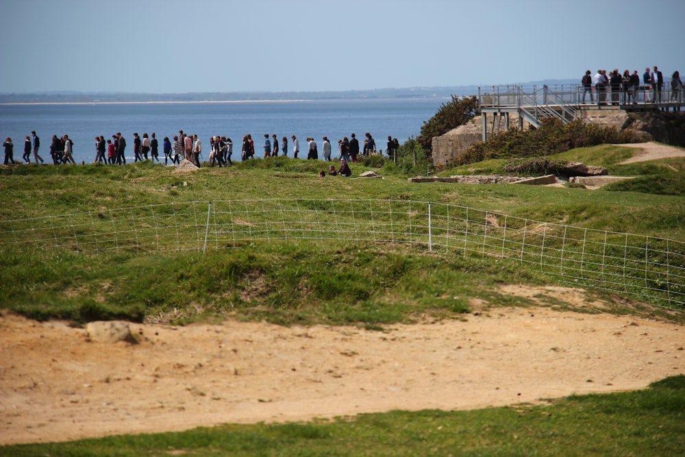 people standing on green grass field near sea during daytime