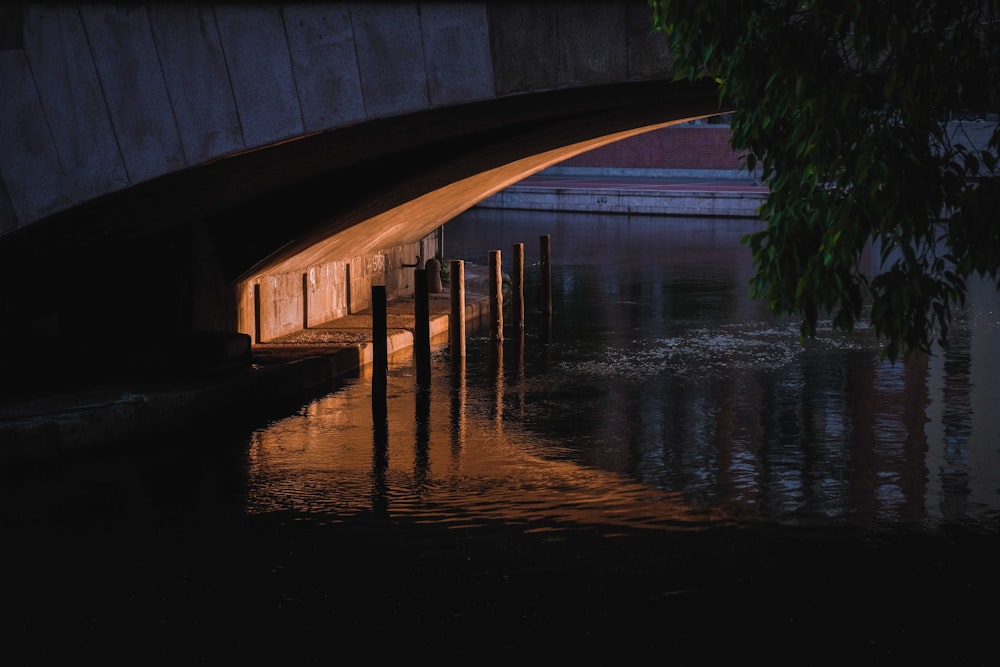 brown wooden dock over calm water