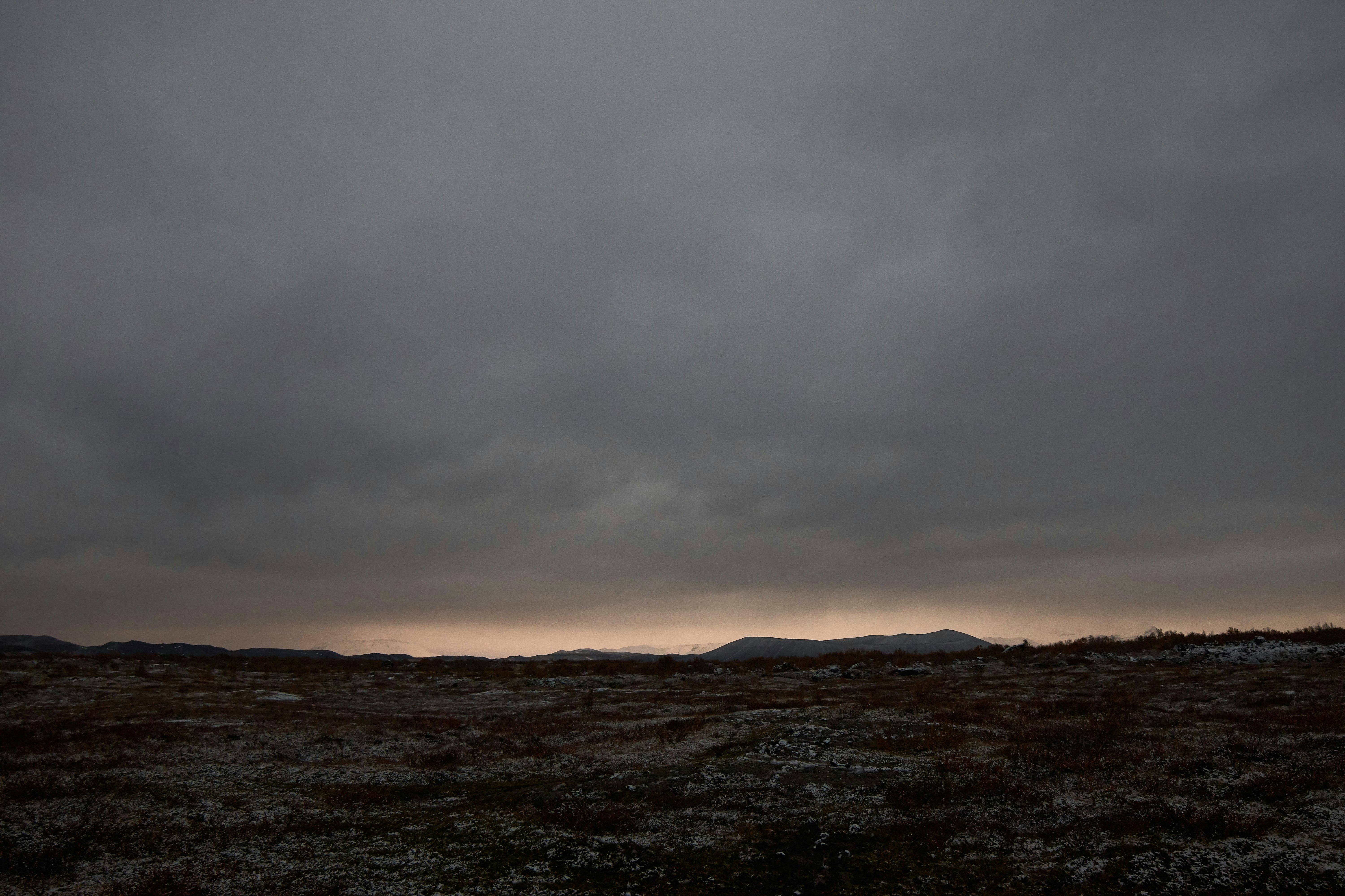 Photo by wolfgang_hasselmann