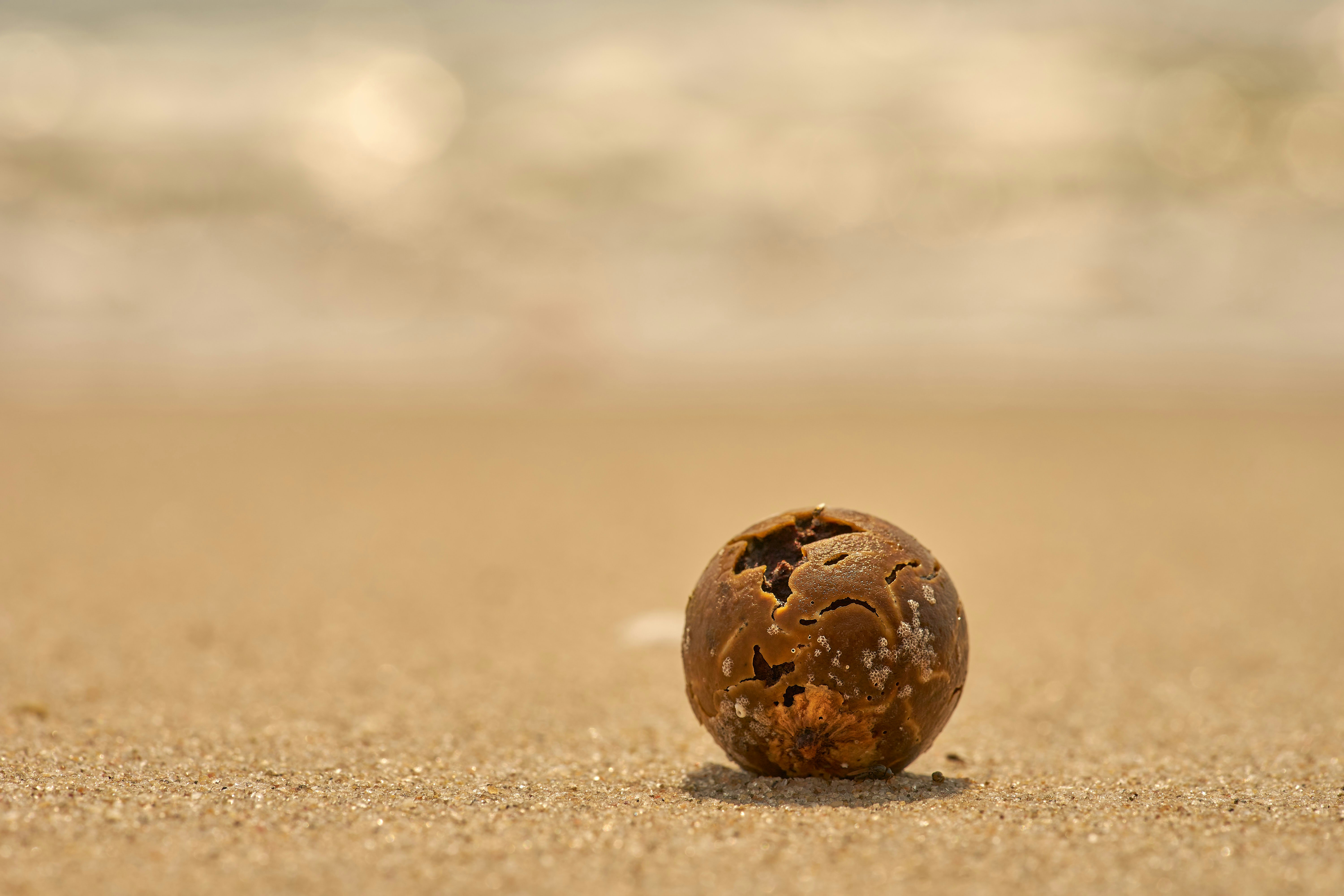 Photo by wolfgang_hasselmann