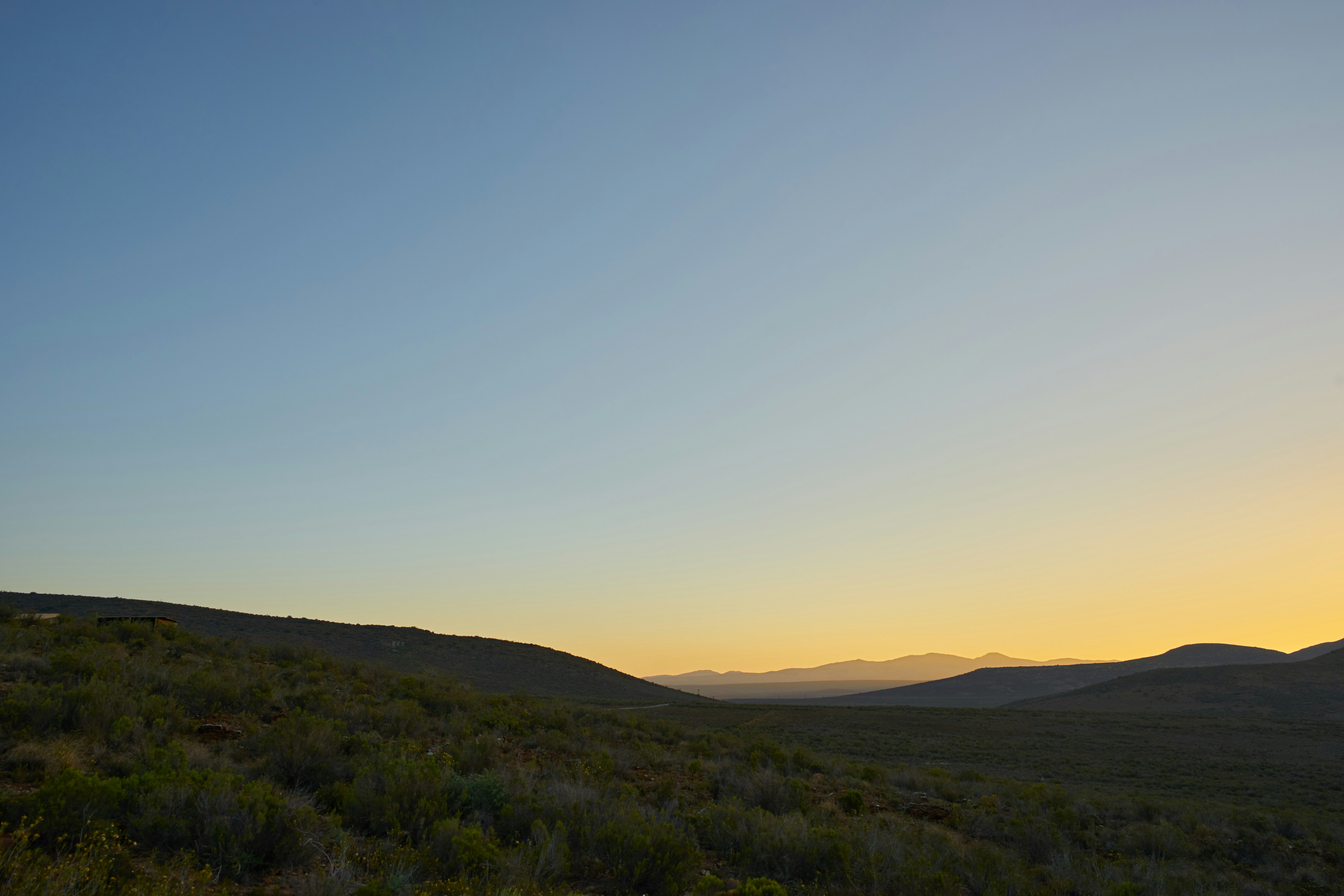 Photo by wolfgang_hasselmann