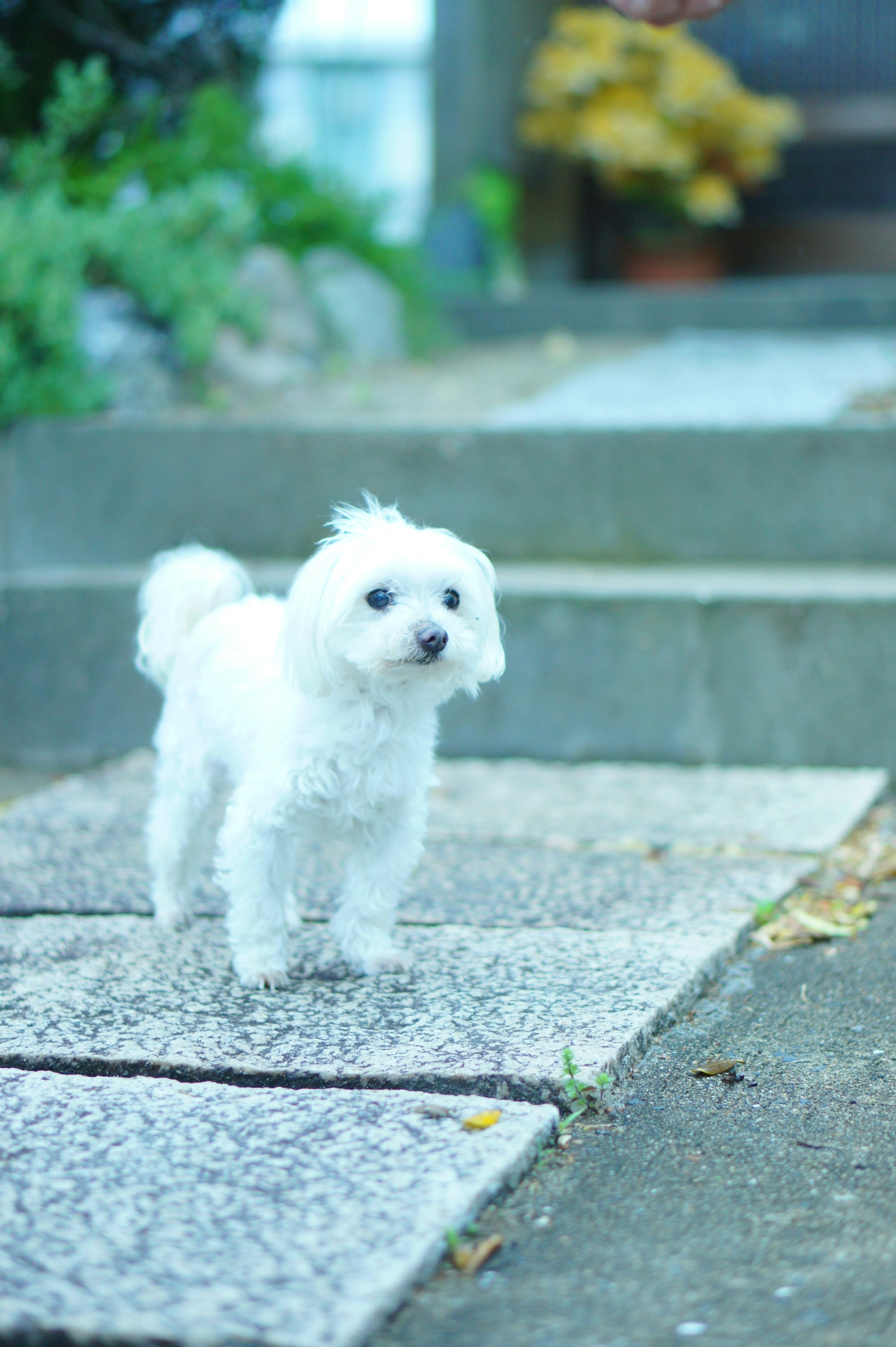 Photo by kiyomishiomura